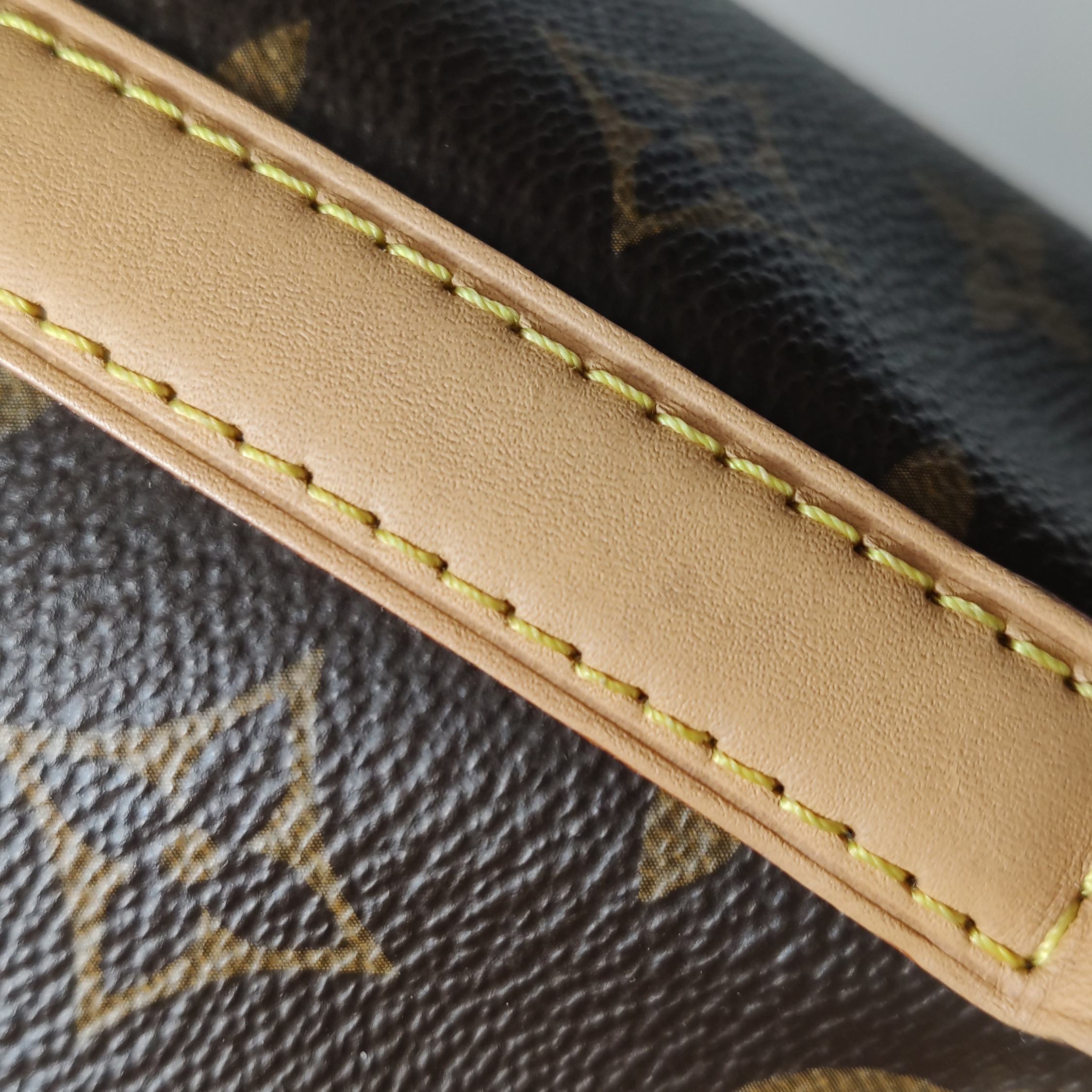 Louis Vuitton Noe NM Handbag Monogram Canvas Nano