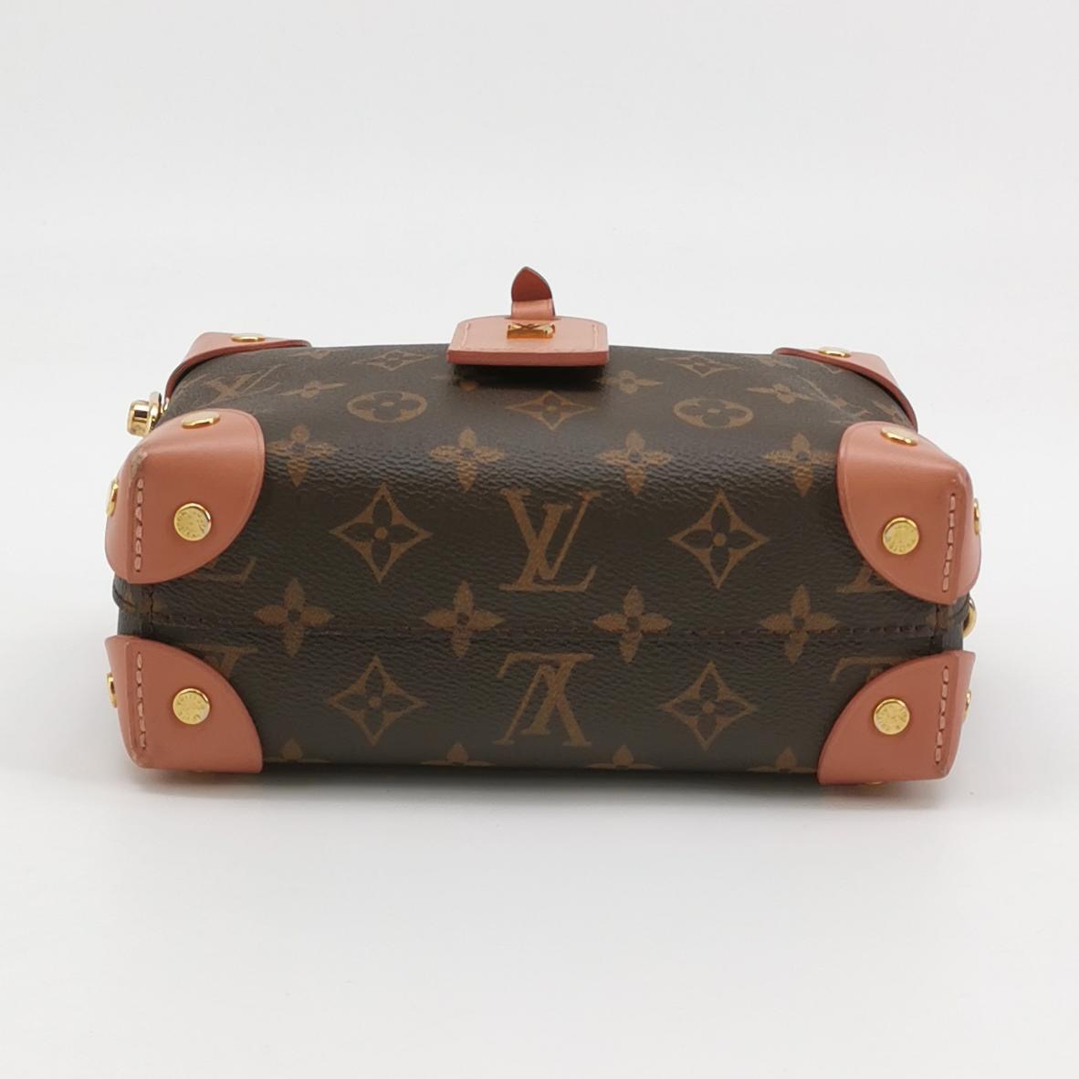 Louis Vuitton(LV) Petite Malle Souple Handbag Monogram Canvas — photo 6 of 17