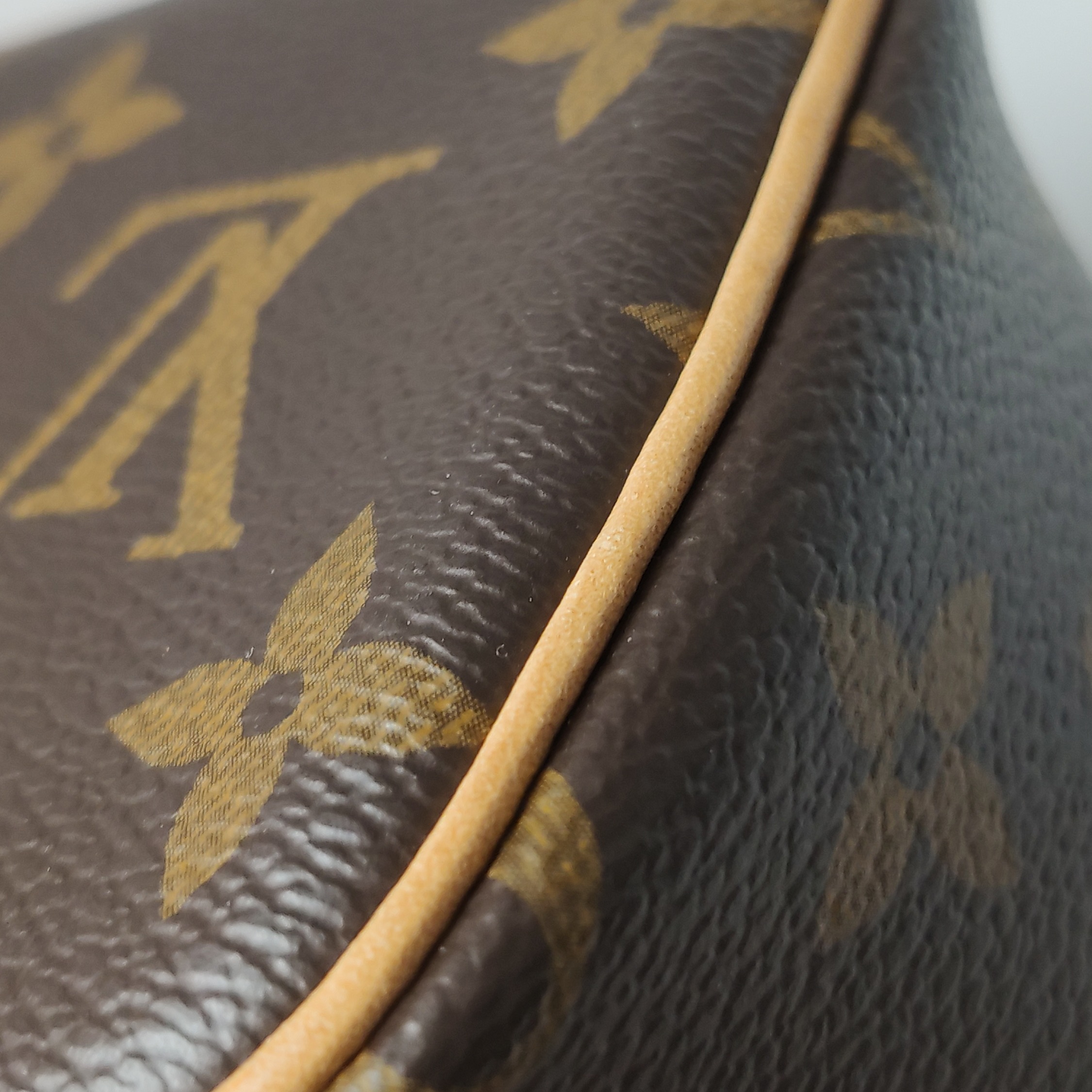 Louis Vuitton Nice Vanity Case Monogram Canvas Nano