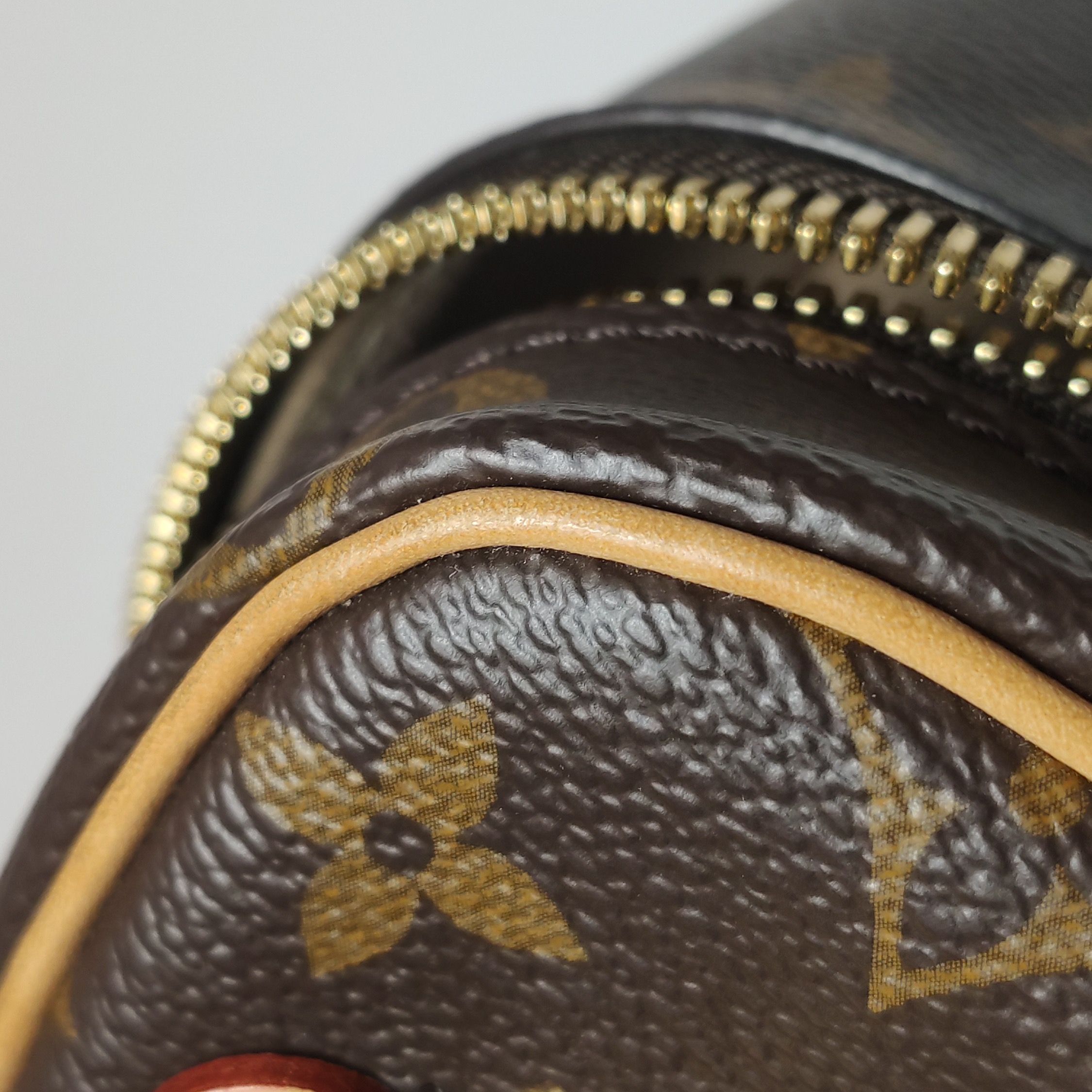 Louis Vuitton Nice Vanity Case Monogram Canvas Nano