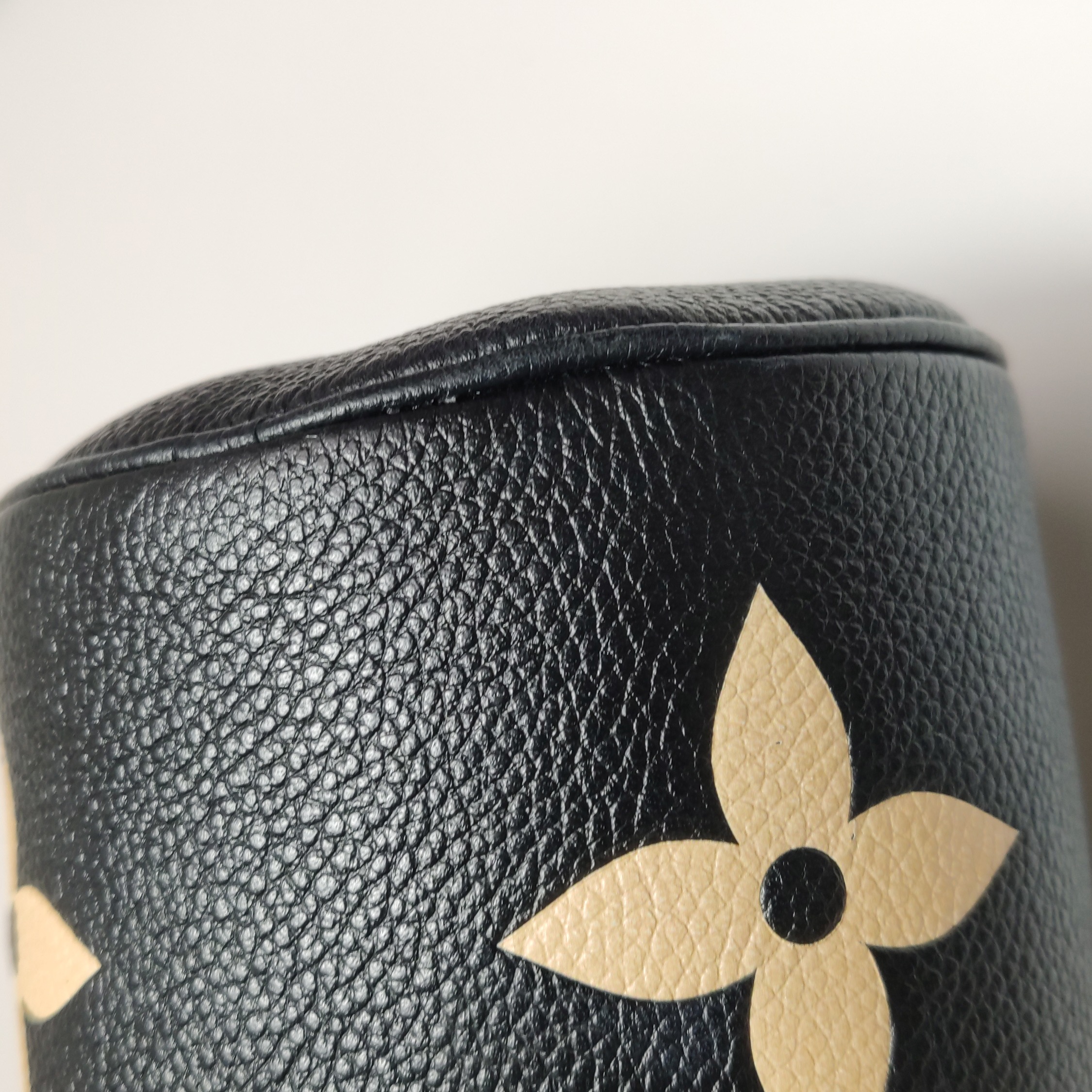 Louis Vuitton Papillon Handbag Bicolor Monogram Empreinte Giant BB