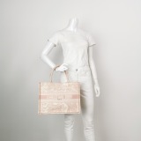 Christian Dior Book Tote Embroidered Canvas Medium — thumbnail 2