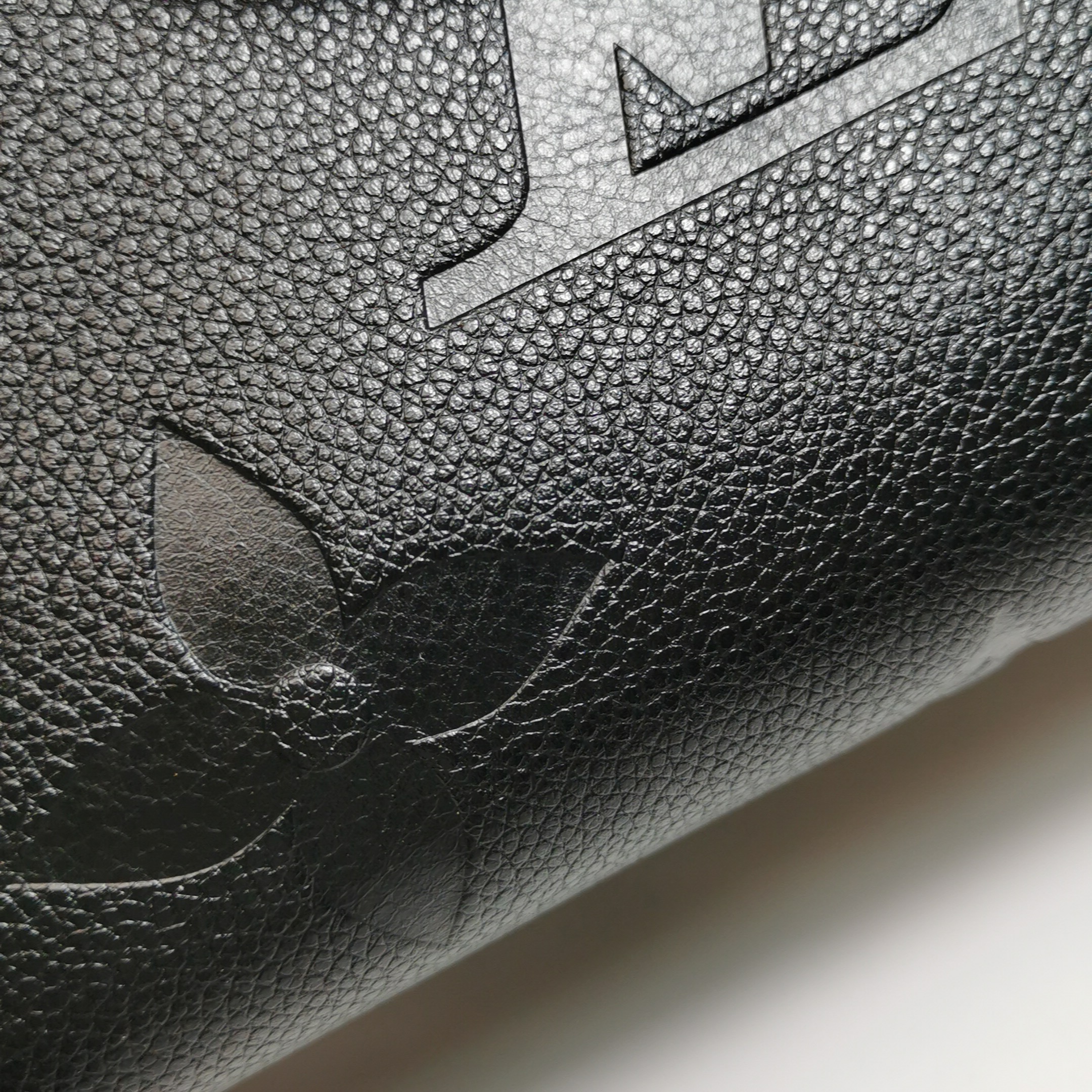 Louis Vuitton(LV) OnTheGo Tote Monogram Empreinte Giant PM — photo 15 of 16