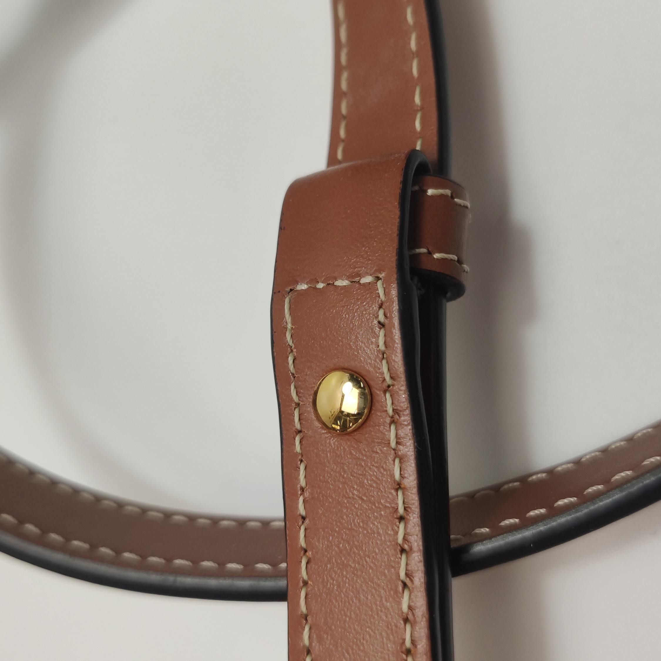 Celine Triomphe Oval Crossbody Bag Leather Mini