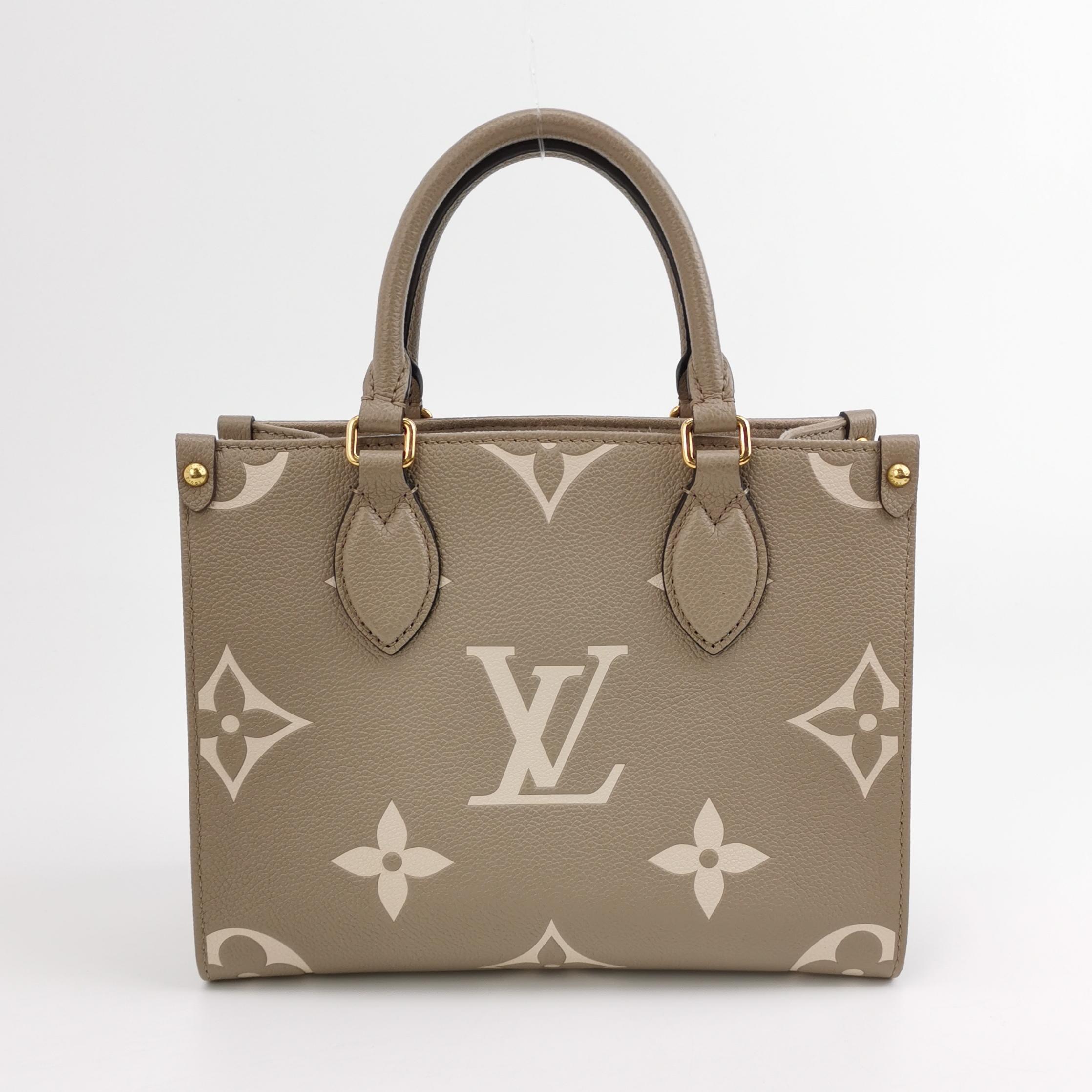Louis Vuitton(LV) OnTheGo Tote Bicolor Monogram Empreinte Giant PM — photo 3 of 14