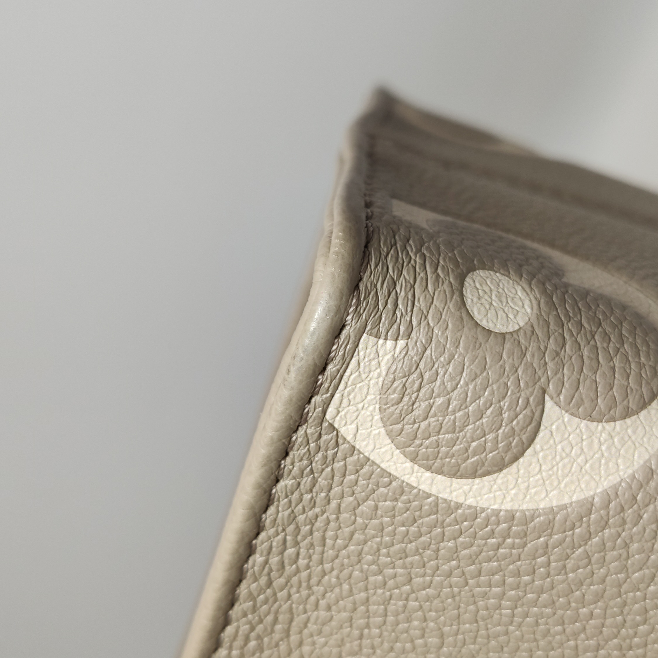 Louis Vuitton(LV) OnTheGo Tote Bicolor Monogram Empreinte Giant PM — photo 11 of 15
