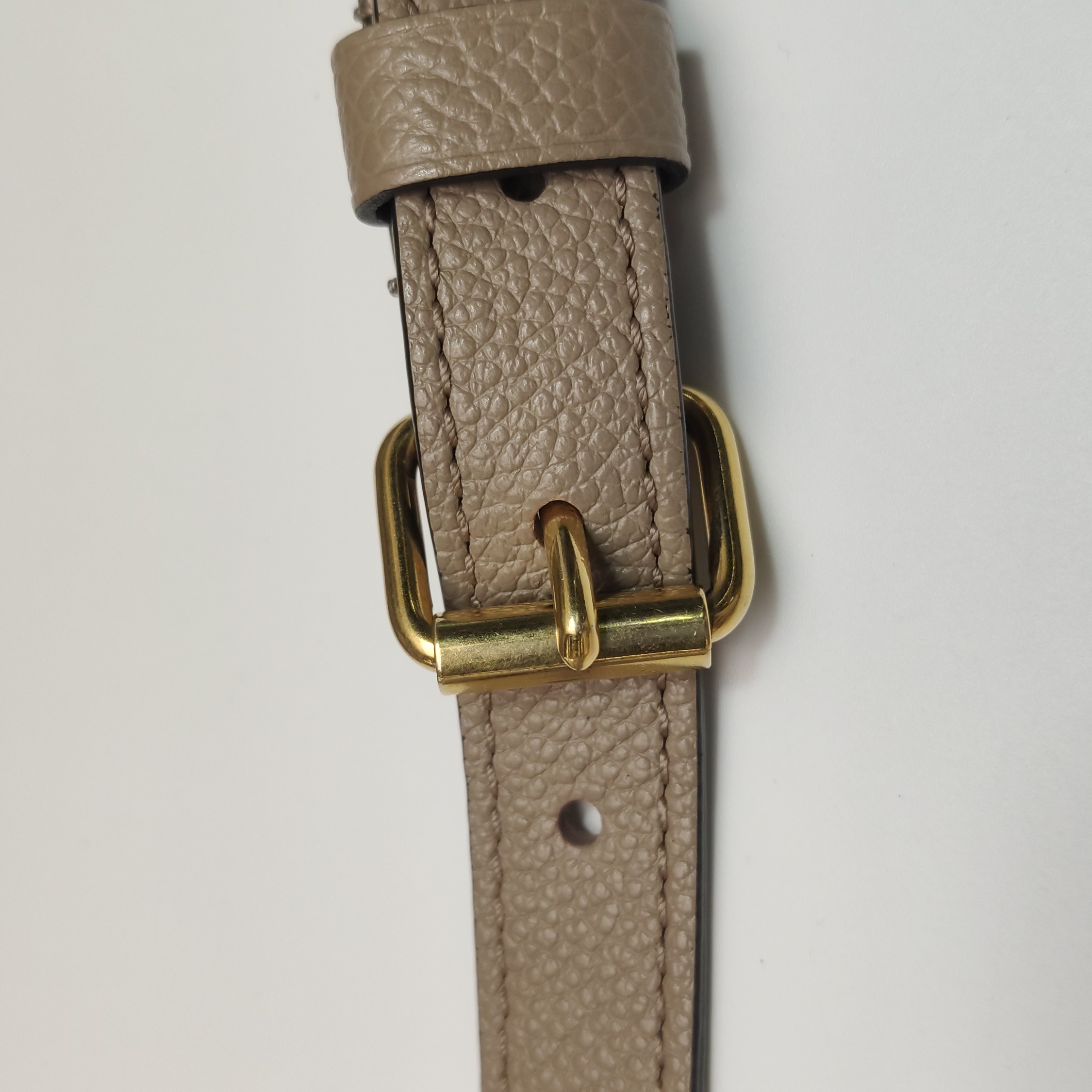 Louis Vuitton(LV) OnTheGo Tote Bicolor Monogram Empreinte Giant PM — photo 12 of 14