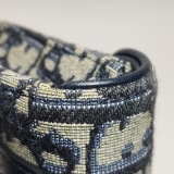 Christian Dior Saddle Rectangular Belt Bag Oblique Canvas — thumbnail 13