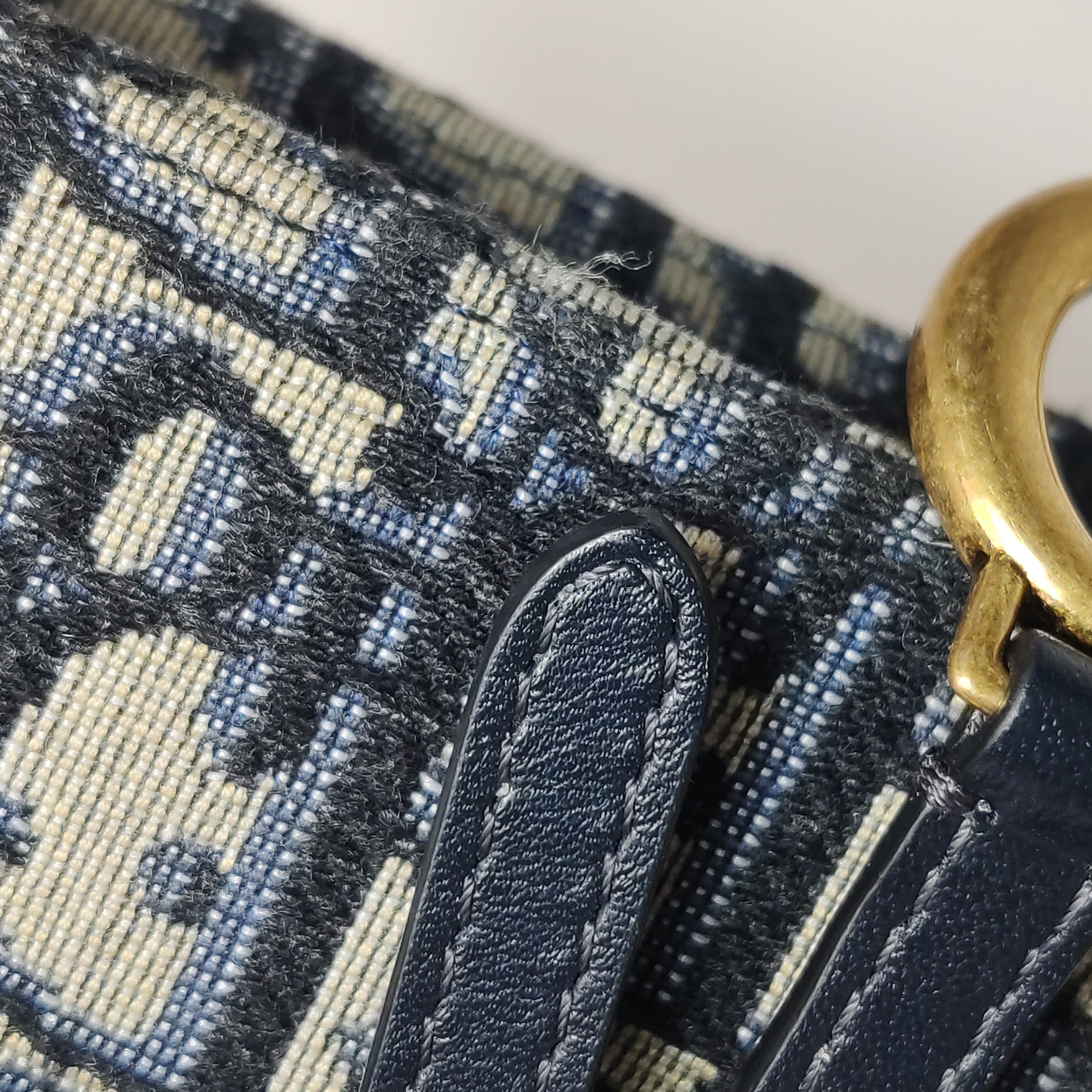Christian Dior Saddle Rectangular Belt Bag Oblique Canvas