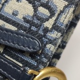 Christian Dior Saddle Rectangular Belt Bag Oblique Canvas — thumbnail 14