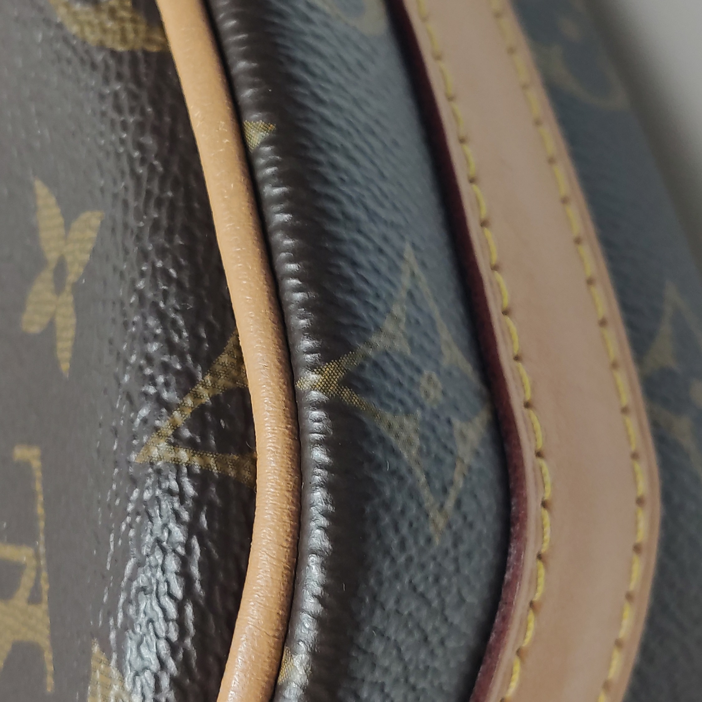 Louis Vuitton(LV) Boite Chapeau Souple Bag Monogram Canvas PM — photo 11 of 21