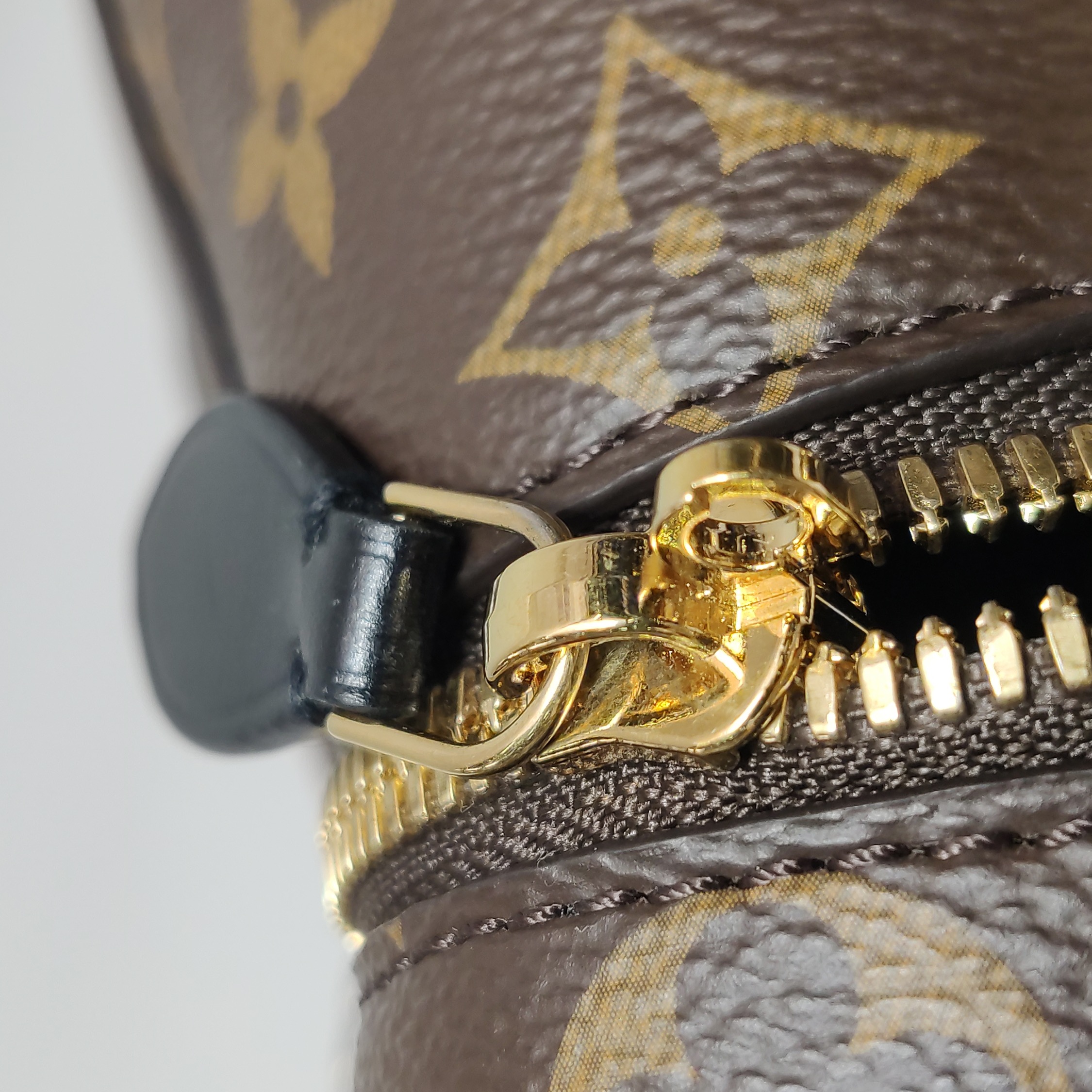 Louis Vuitton(LV) Vanity Handbag Reverse Monogram Canvas PM — photo 19 of 20