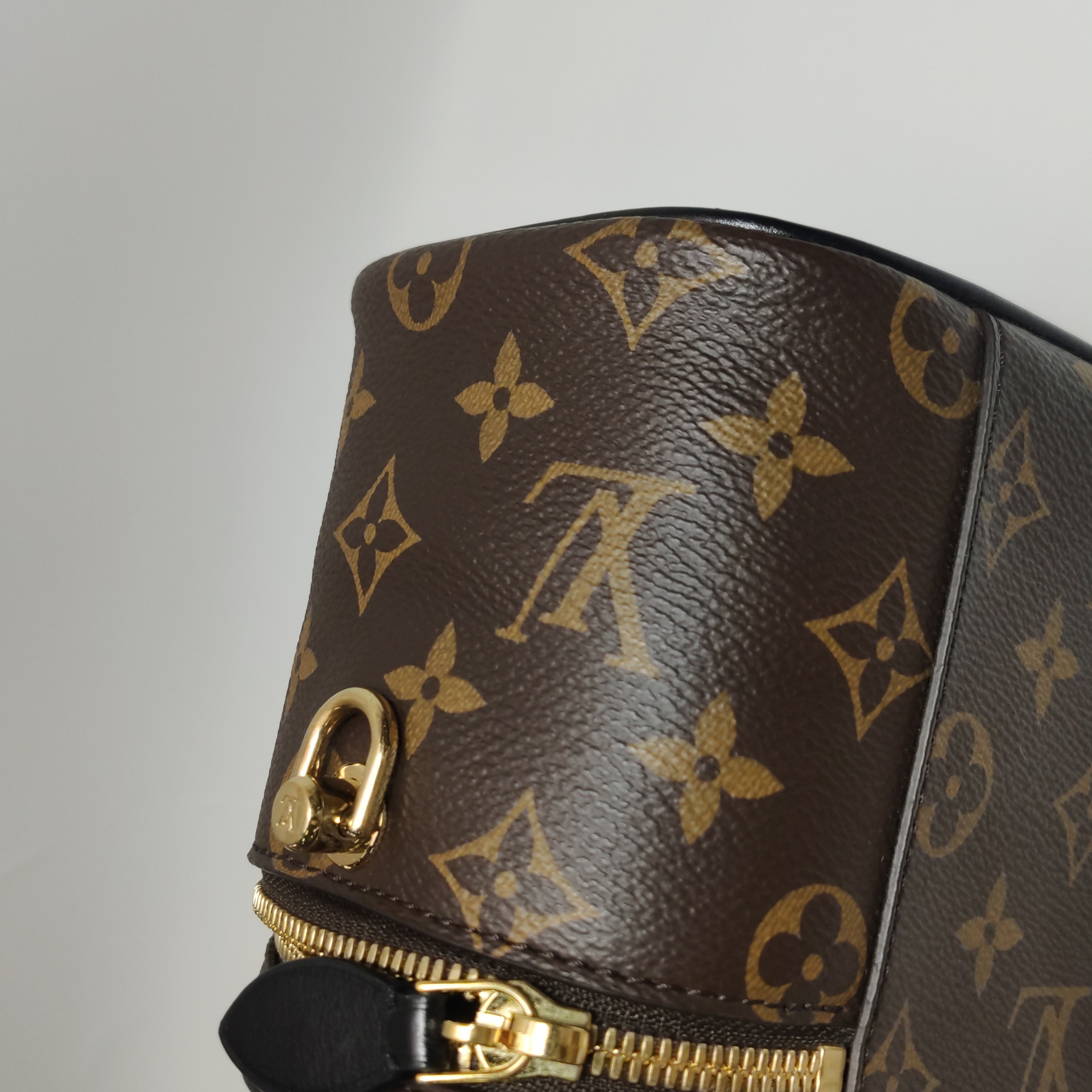 Louis Vuitton(LV) Vanity Handbag Reverse Monogram Canvas PM — photo 17 of 20
