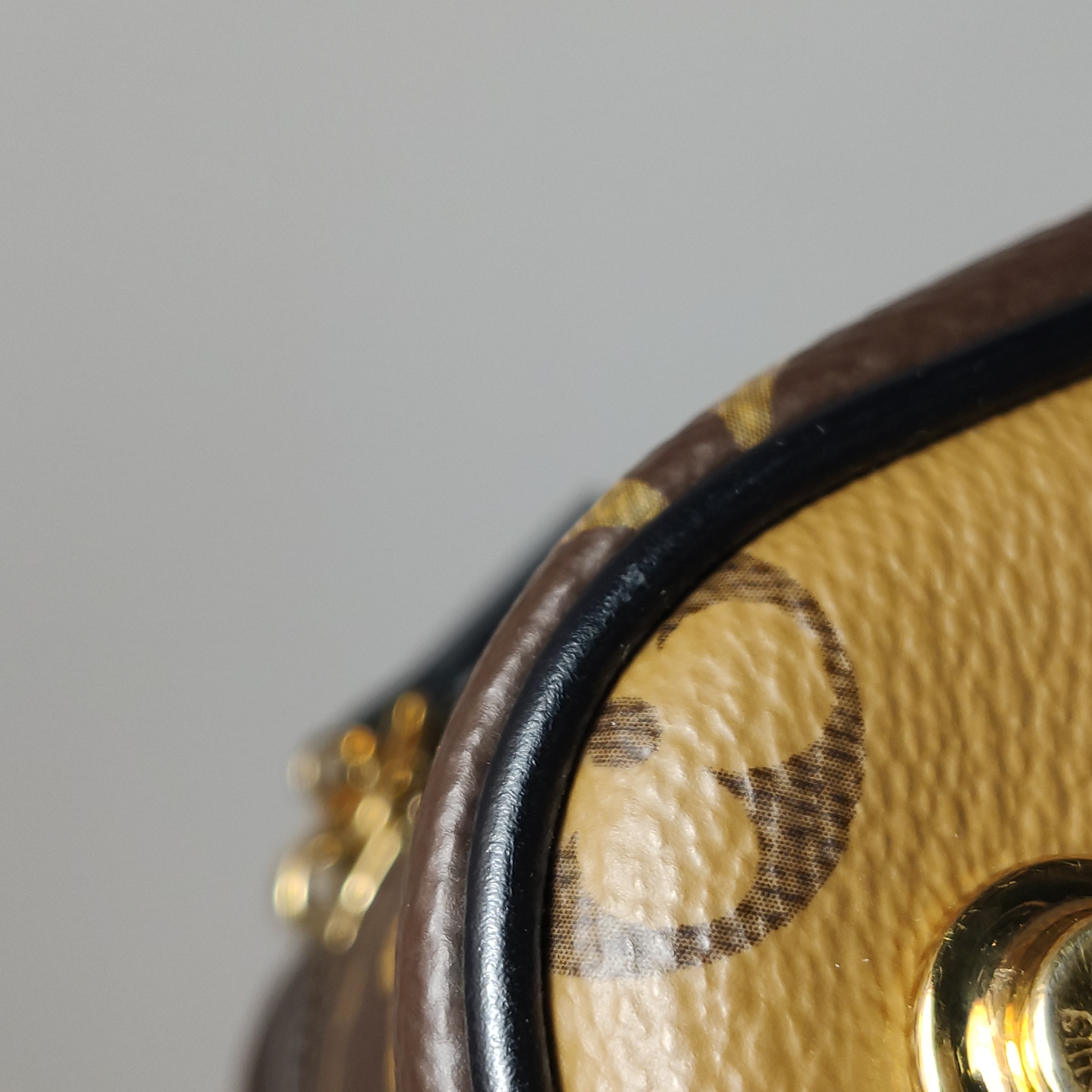 Louis Vuitton(LV) Vanity Handbag Reverse Monogram Canvas PM — photo 14 of 20