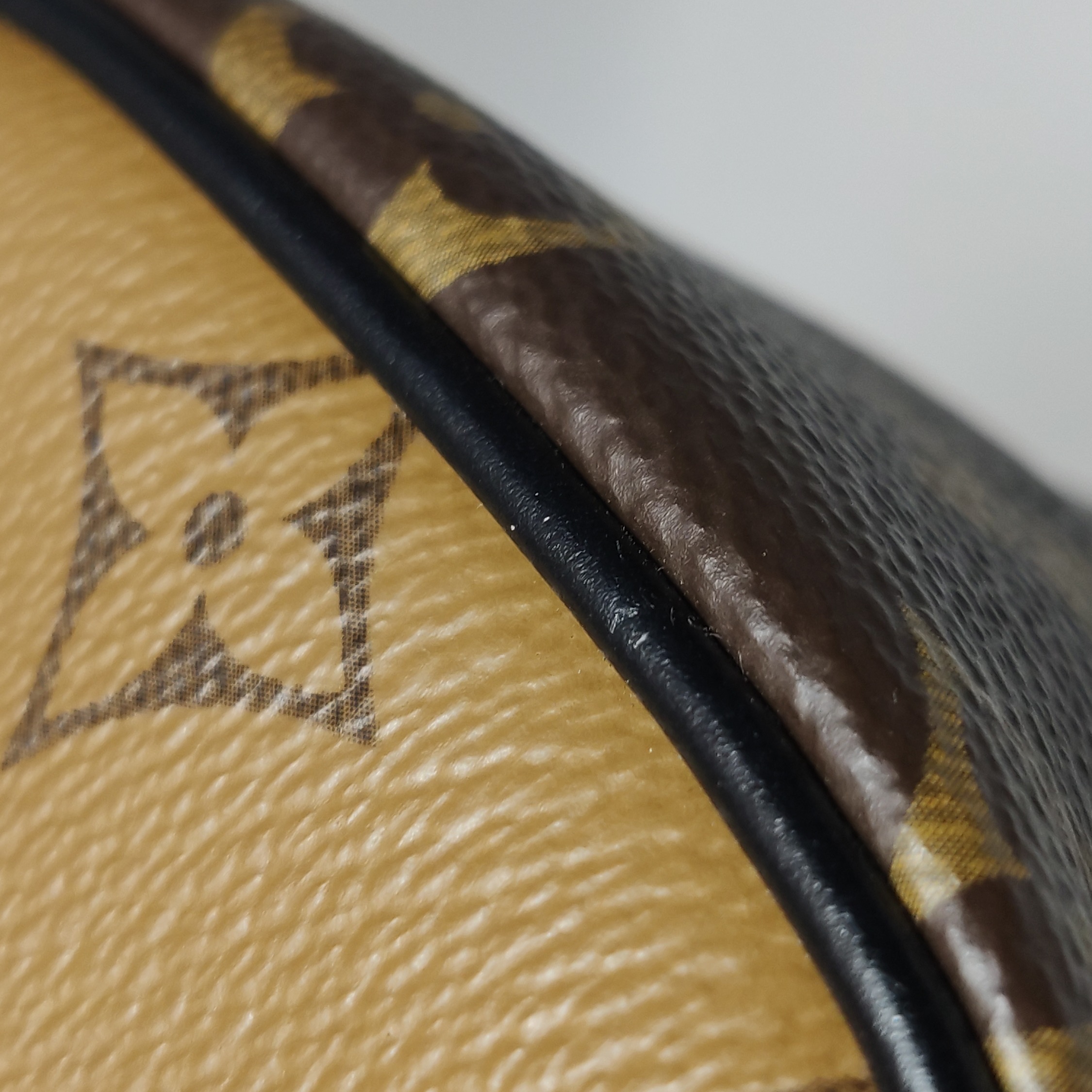 Louis Vuitton(LV) Vanity Handbag Reverse Monogram Canvas PM — photo 16 of 20