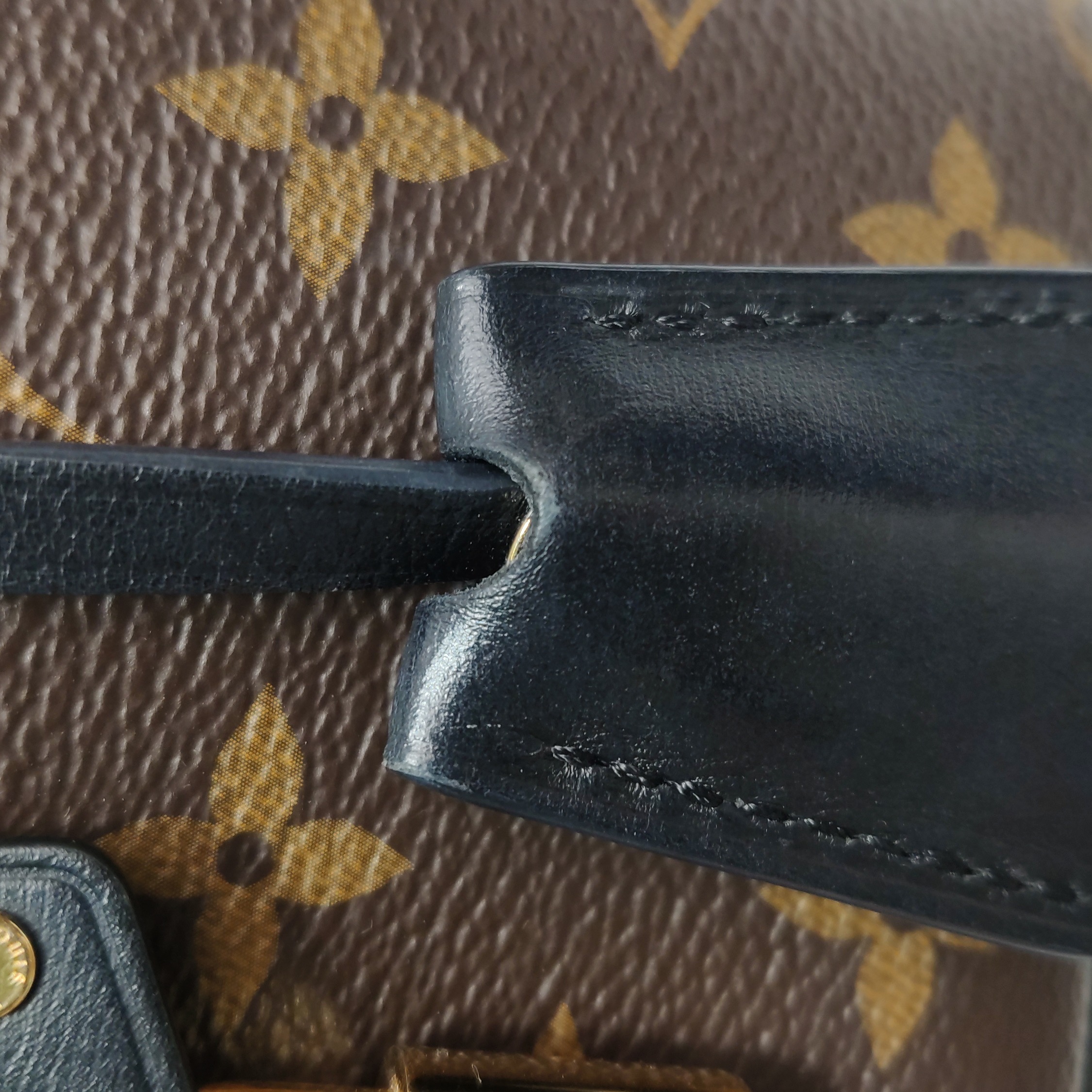 Louis Vuitton(LV) Vanity Handbag Reverse Monogram Canvas PM — photo 24 of 25