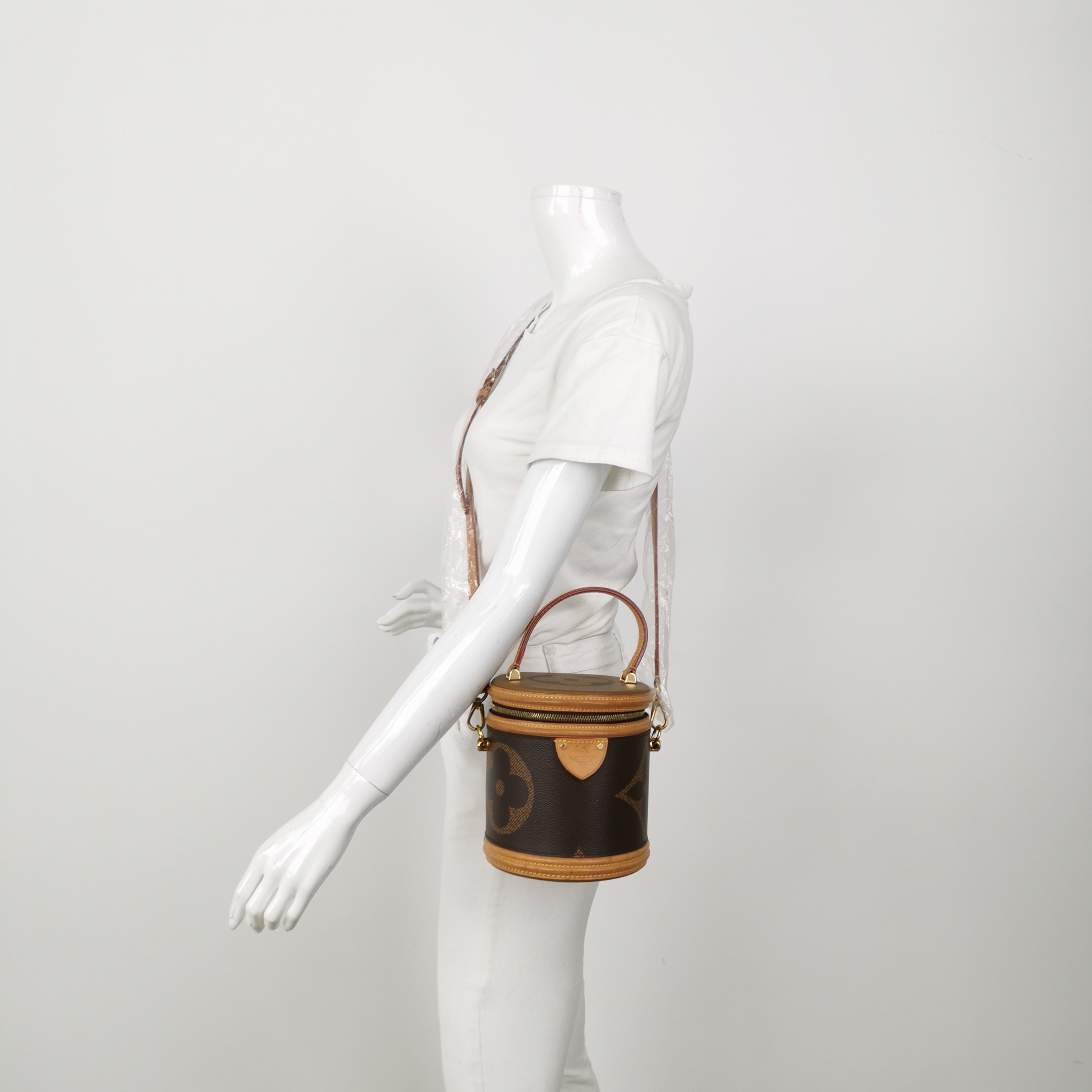 Louis Vuitton(LV) Cannes Handbag Monogram Canvas Nano — alternate view