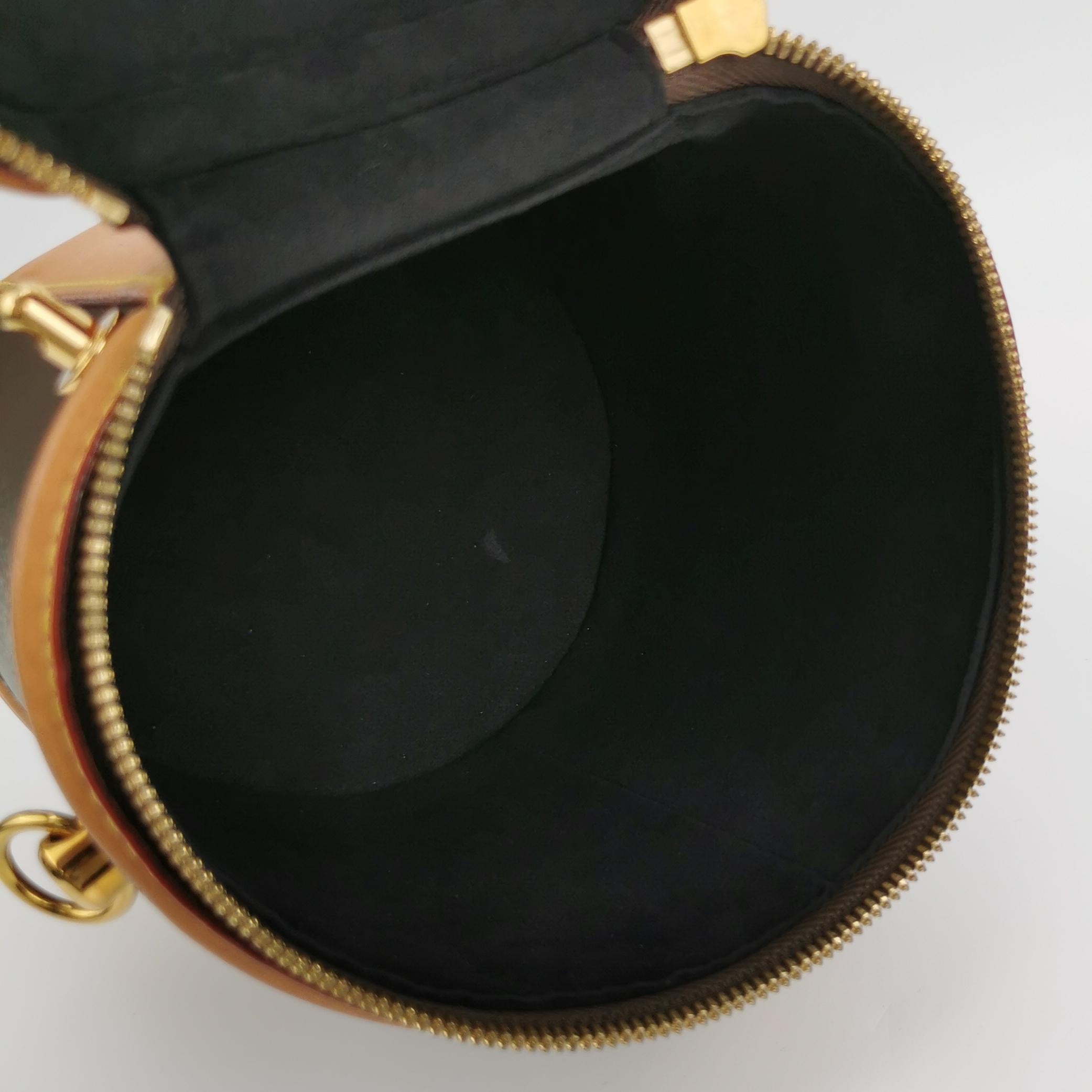 Louis Vuitton(LV) Cannes Handbag Monogram Canvas Nano — photo 7 of 14