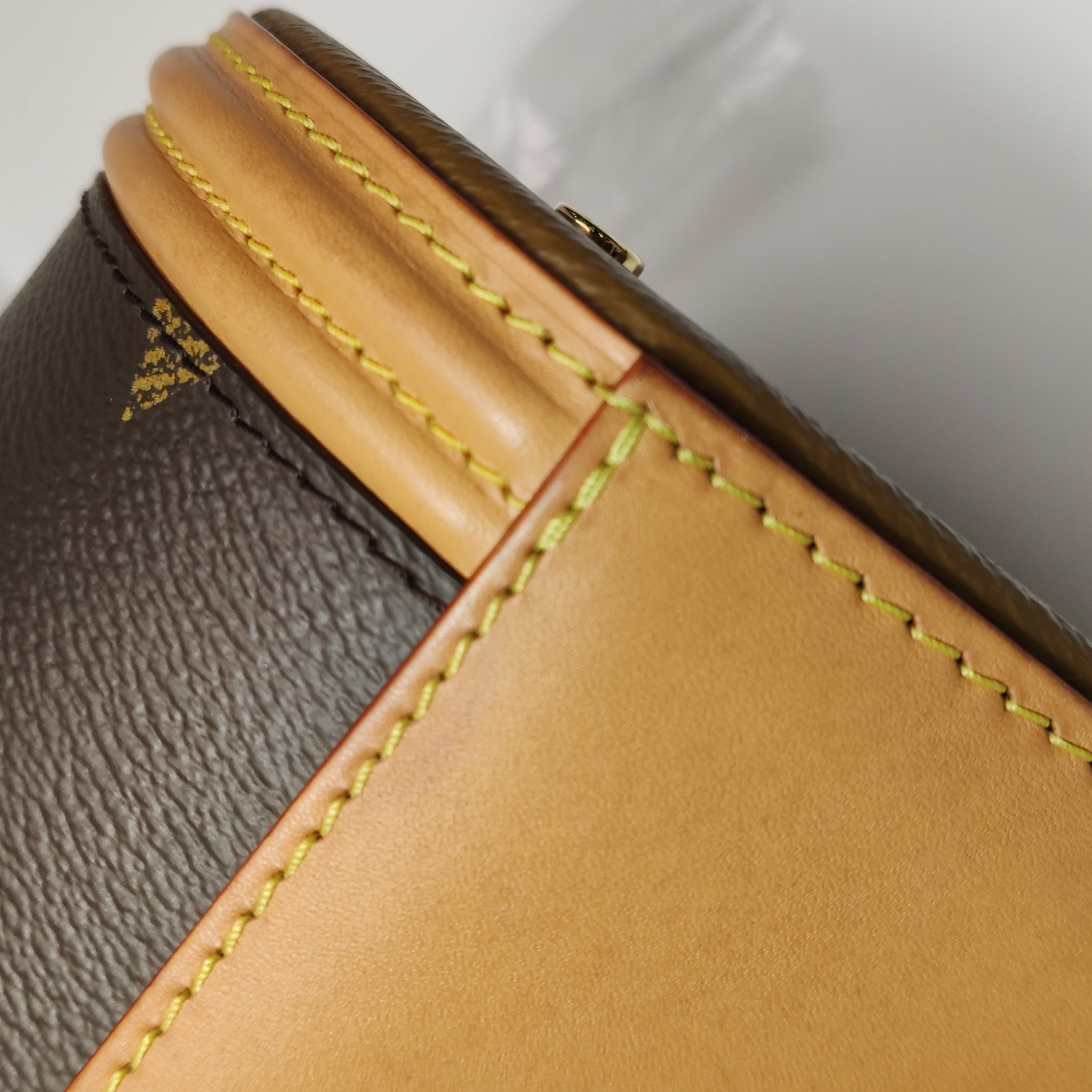 Louis Vuitton(LV) Cannes Handbag Monogram Canvas Nano — photo 9 of 14