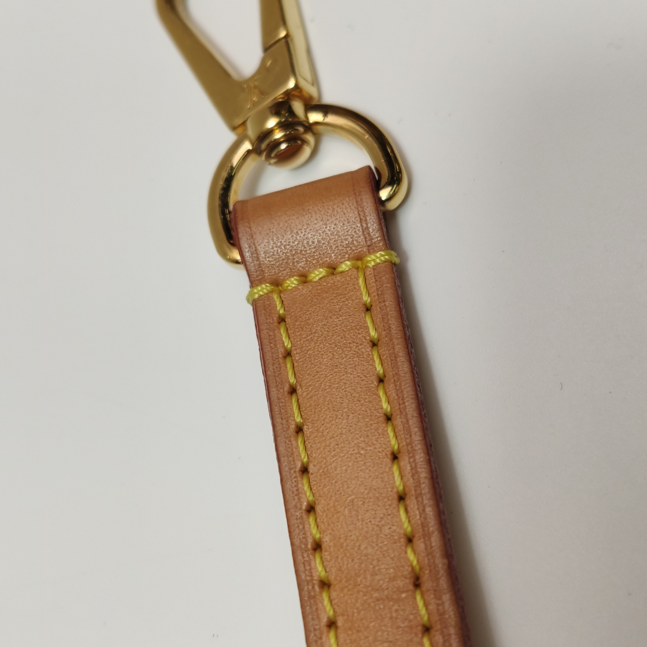 Louis Vuitton(LV) Cannes Handbag Monogram Canvas Nano — photo 14 of 14