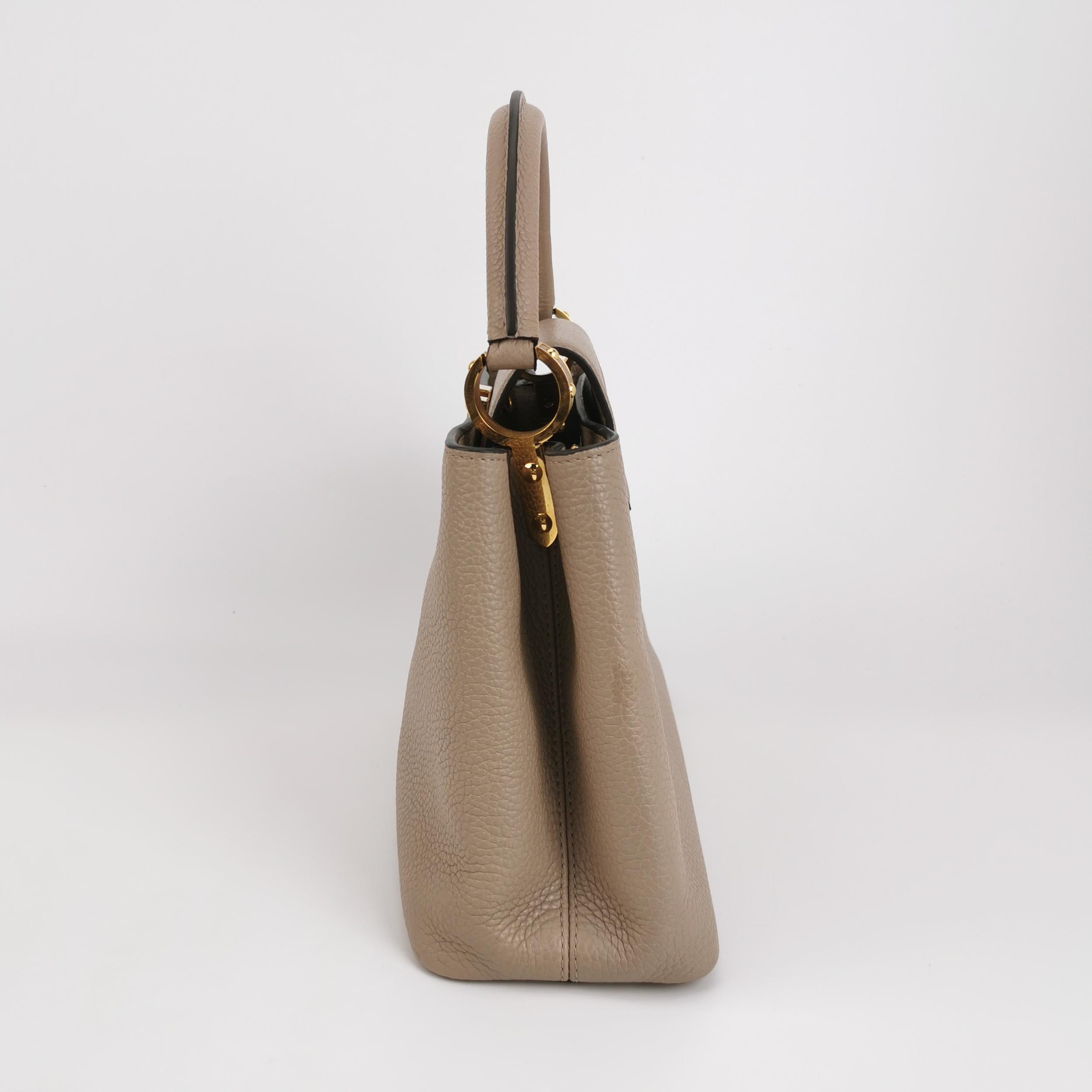 Louis Vuitton(LV) Capucines Bag Leather GM