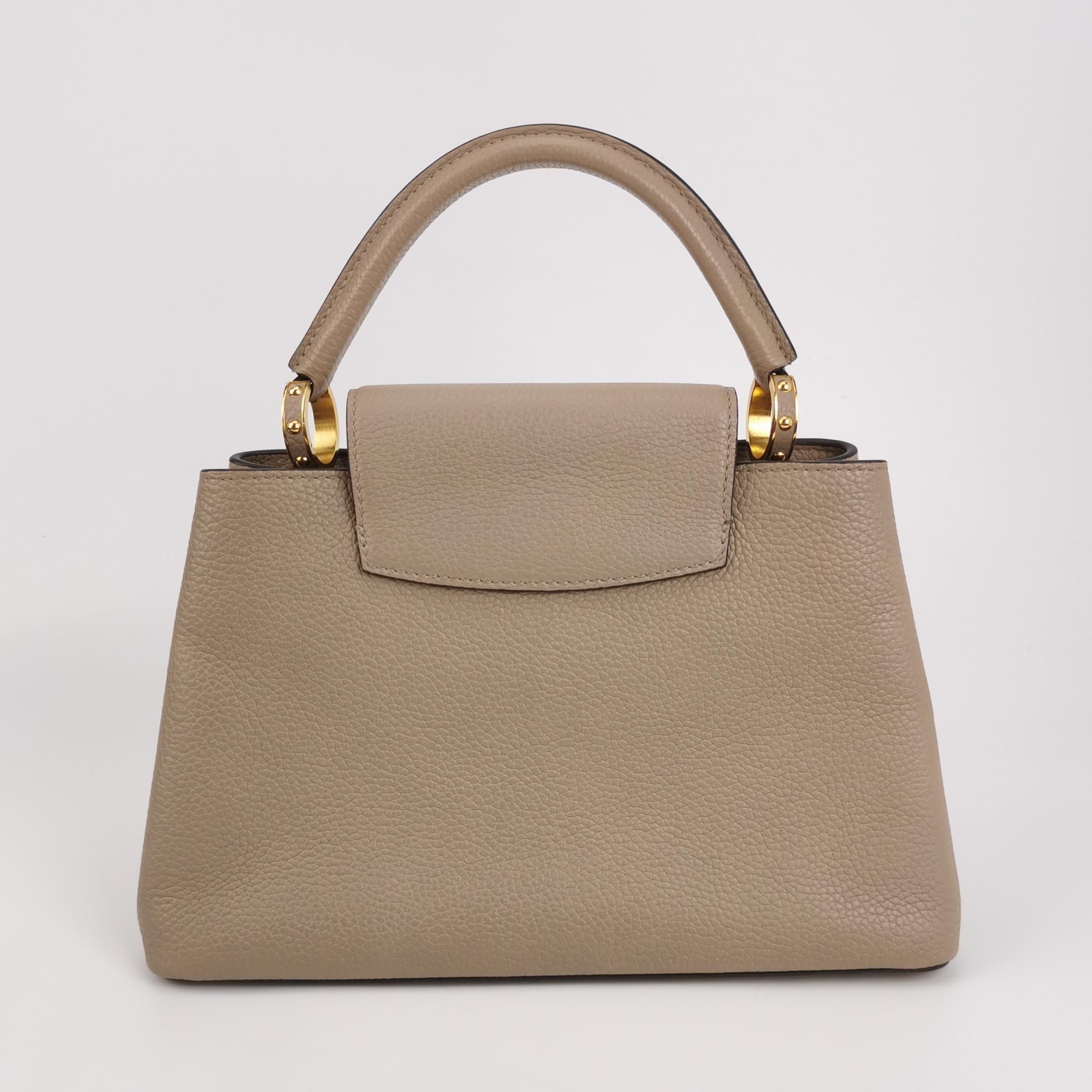 Louis Vuitton(LV) Capucines Bag Leather GM