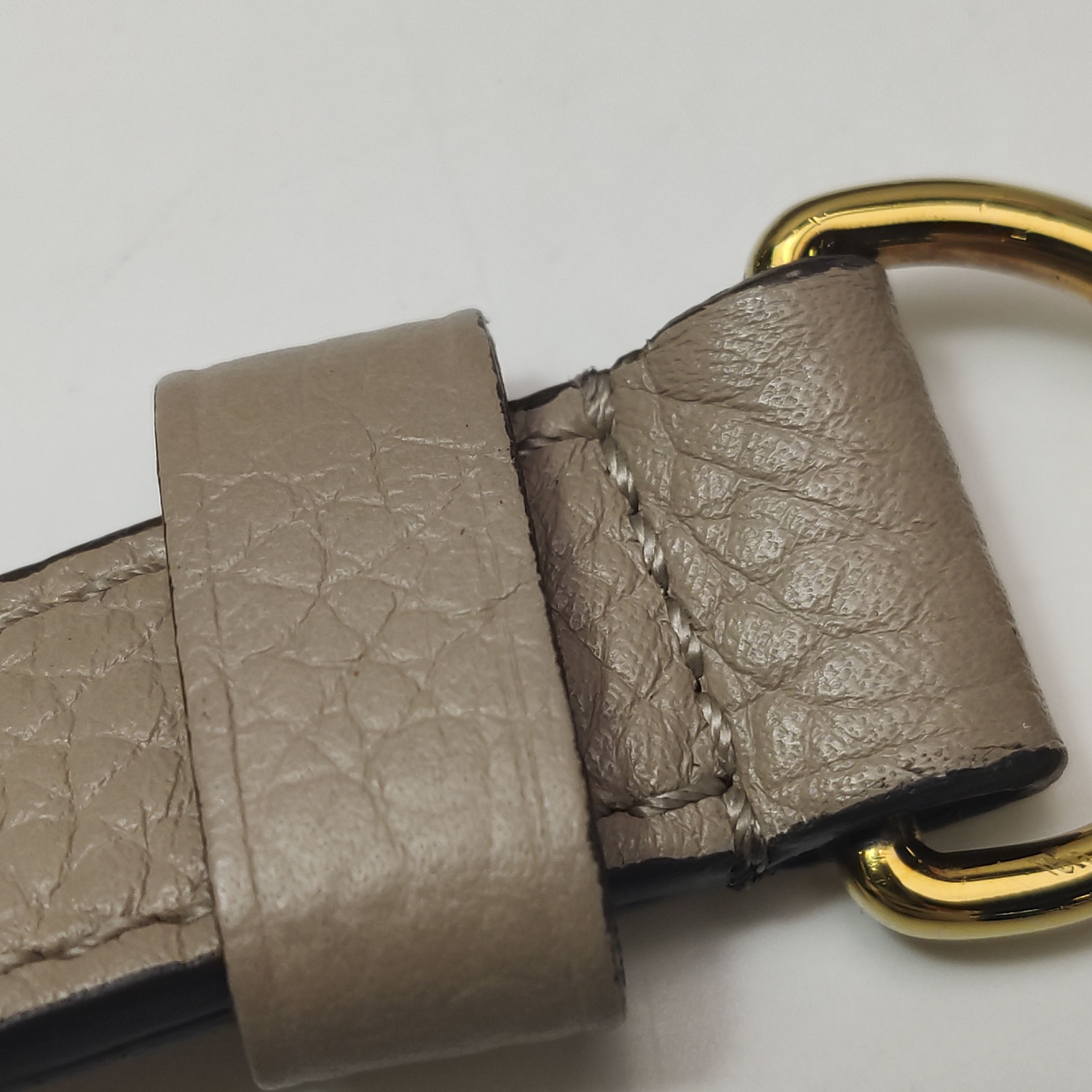 Louis Vuitton(LV) Capucines Bag Leather GM