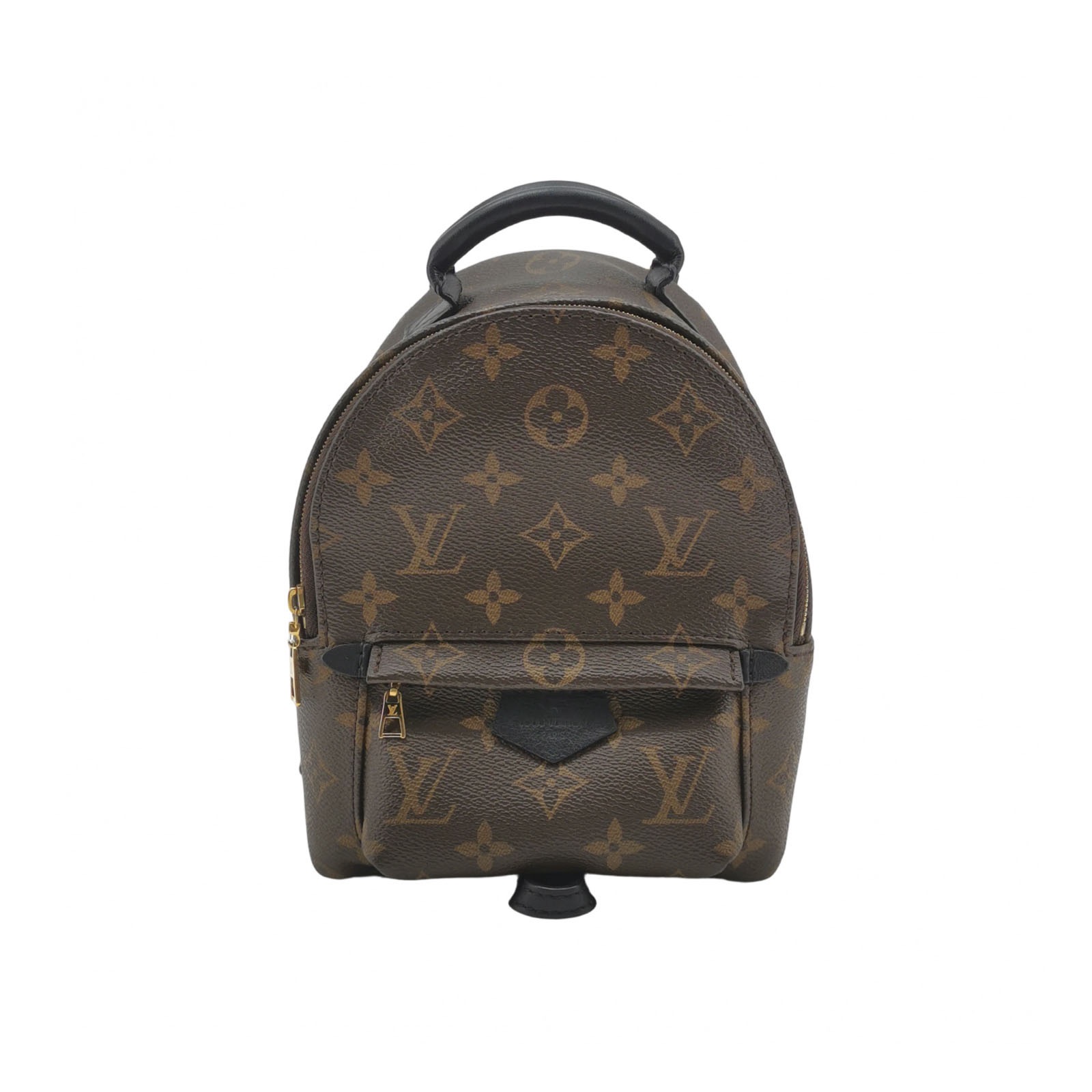 Louis Vuitton(LV) Palm Springs Backpack Monogram Canvas Mini — photo 1 of 18