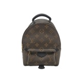 Louis Vuitton(LV) Palm Springs Backpack Monogram Canvas Mini — thumbnail 1