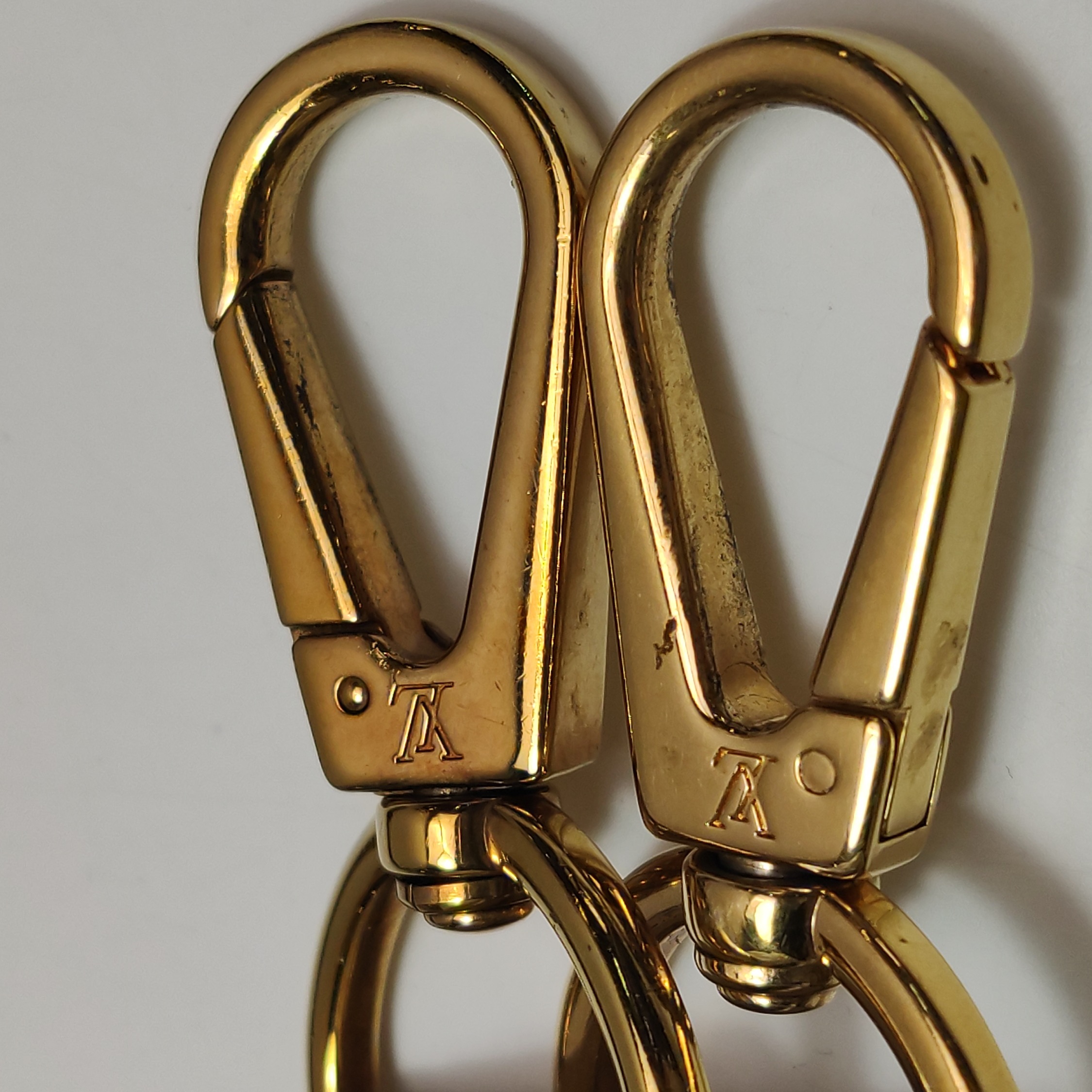 Louis Vuitton(LV) Capucines Bag Leather GM