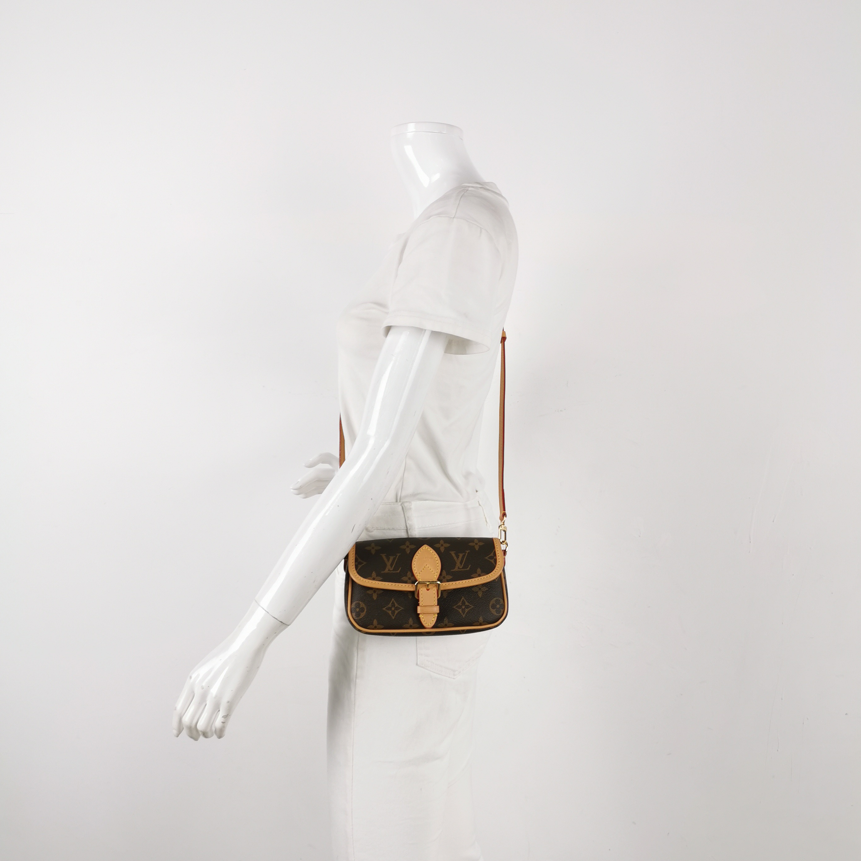 Louis Vuitton(LV) Diane NM Handbag Monogram Canvas Nano — alternate view