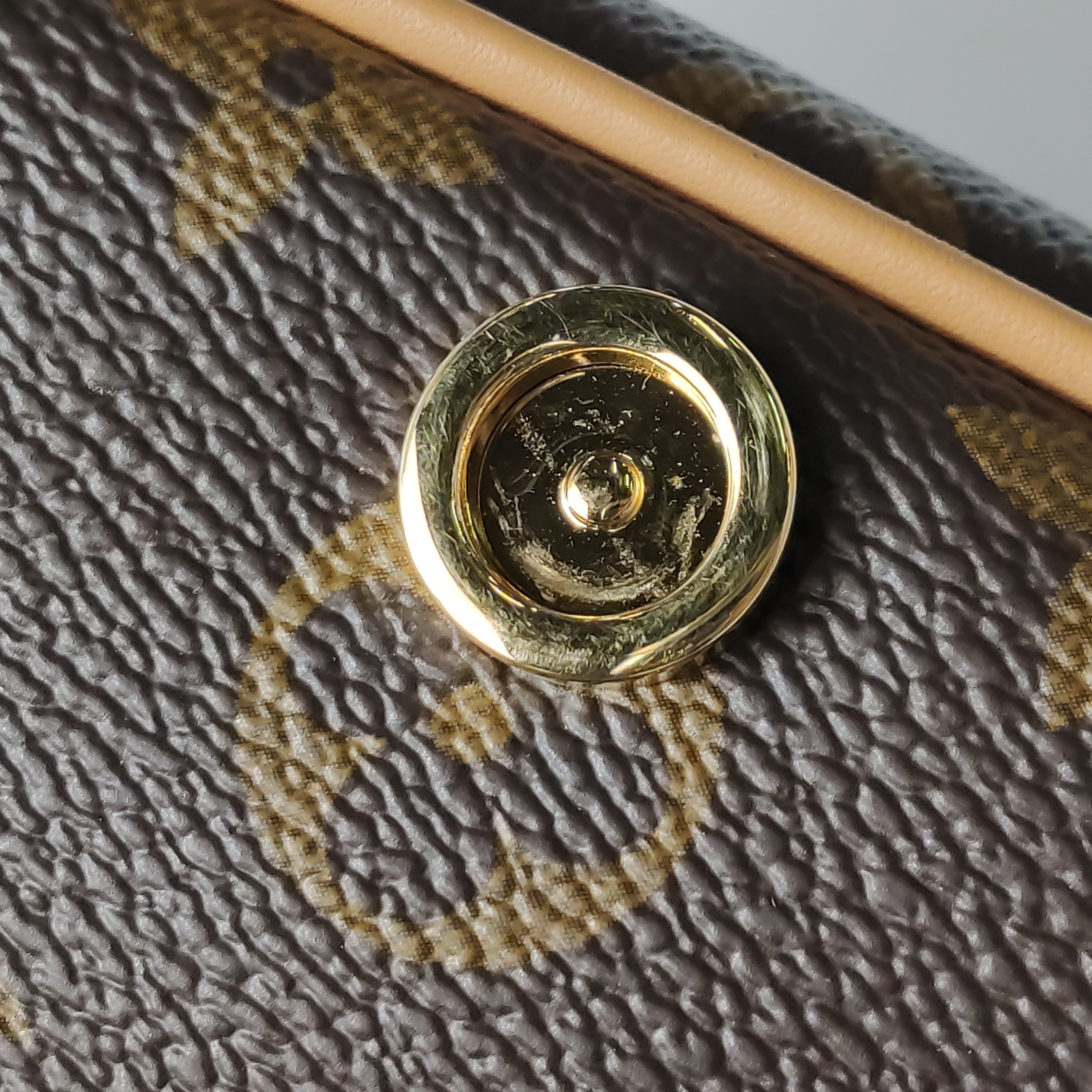 Louis Vuitton(LV) Diane NM Handbag Monogram Canvas Nano — photo 13 of 14