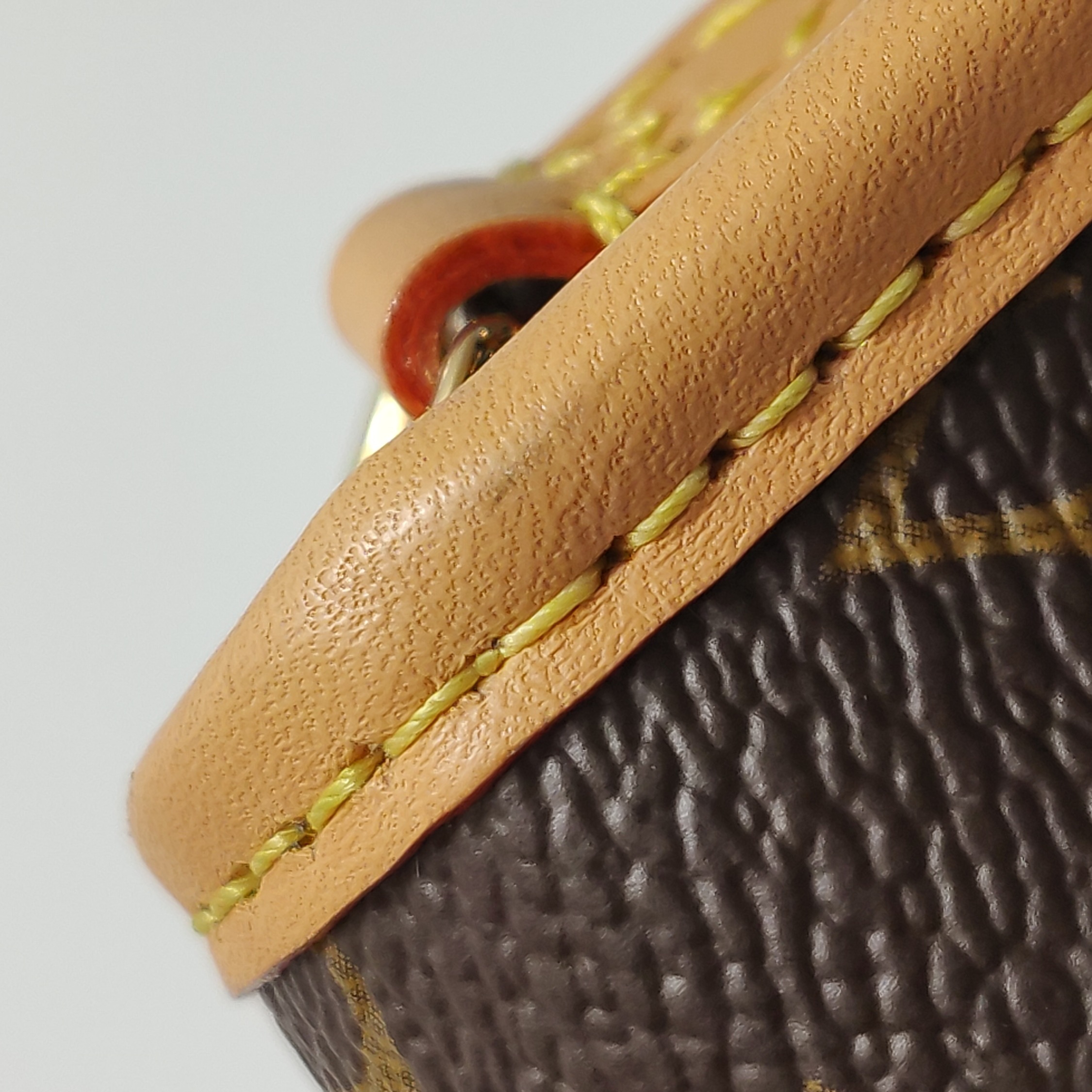 Louis Vuitton(LV) Diane NM Handbag Monogram Canvas Nano — photo 11 of 14