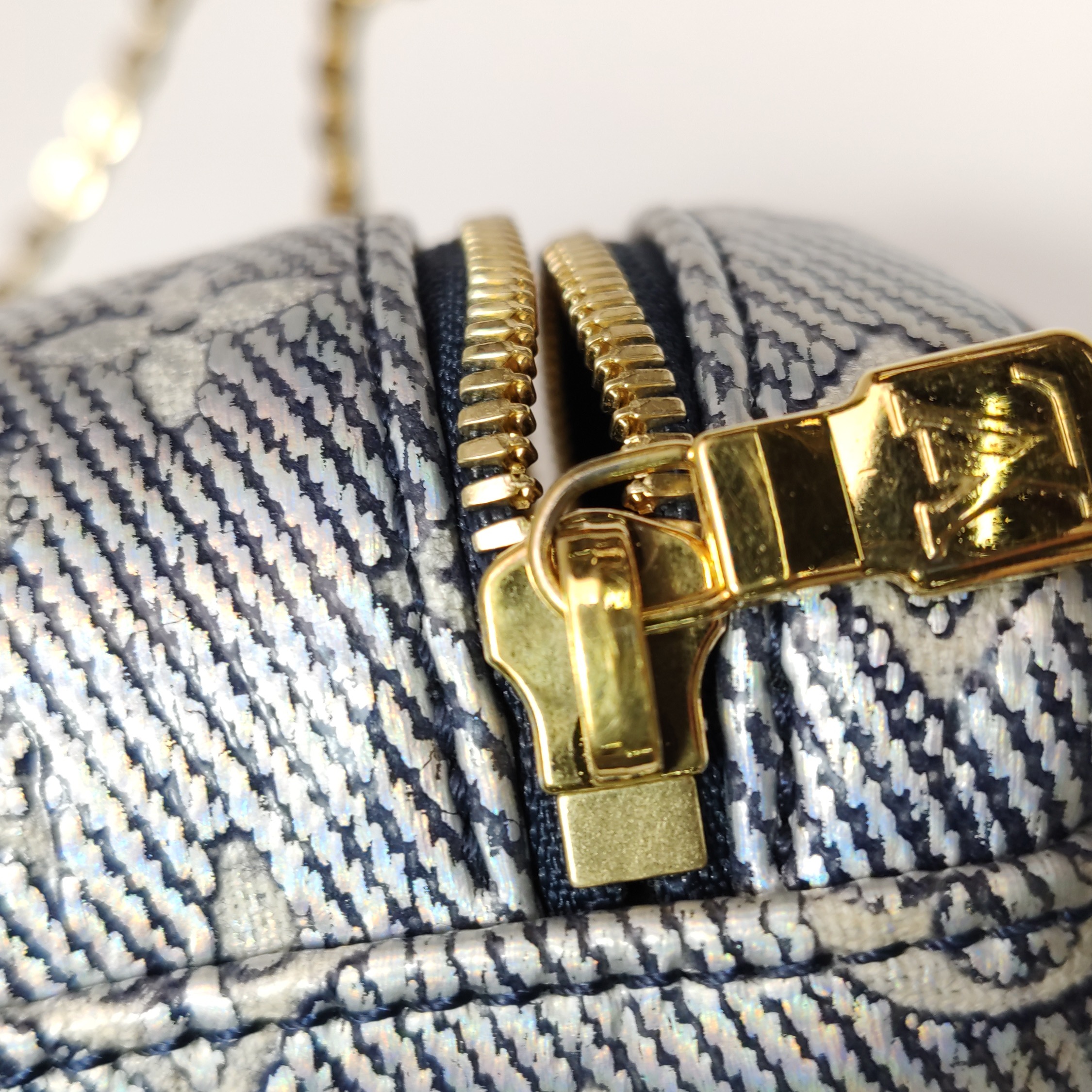 Louis Vuitton(LV) Vanity Case Monoglam Jacquard Canvas Micro — photo 11 of 12