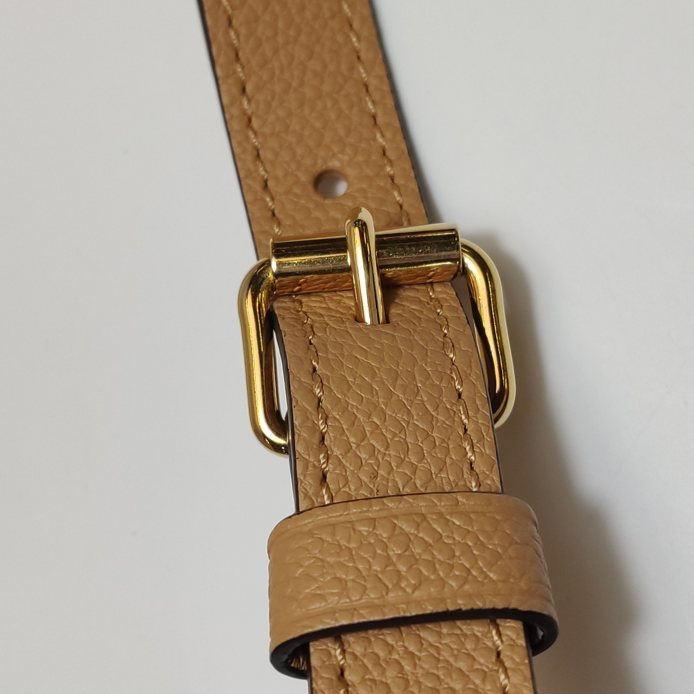 Louis Vuitton(LV) OnTheGo Tote Bicolor Monogram Empreinte Giant PM — photo 13 of 13