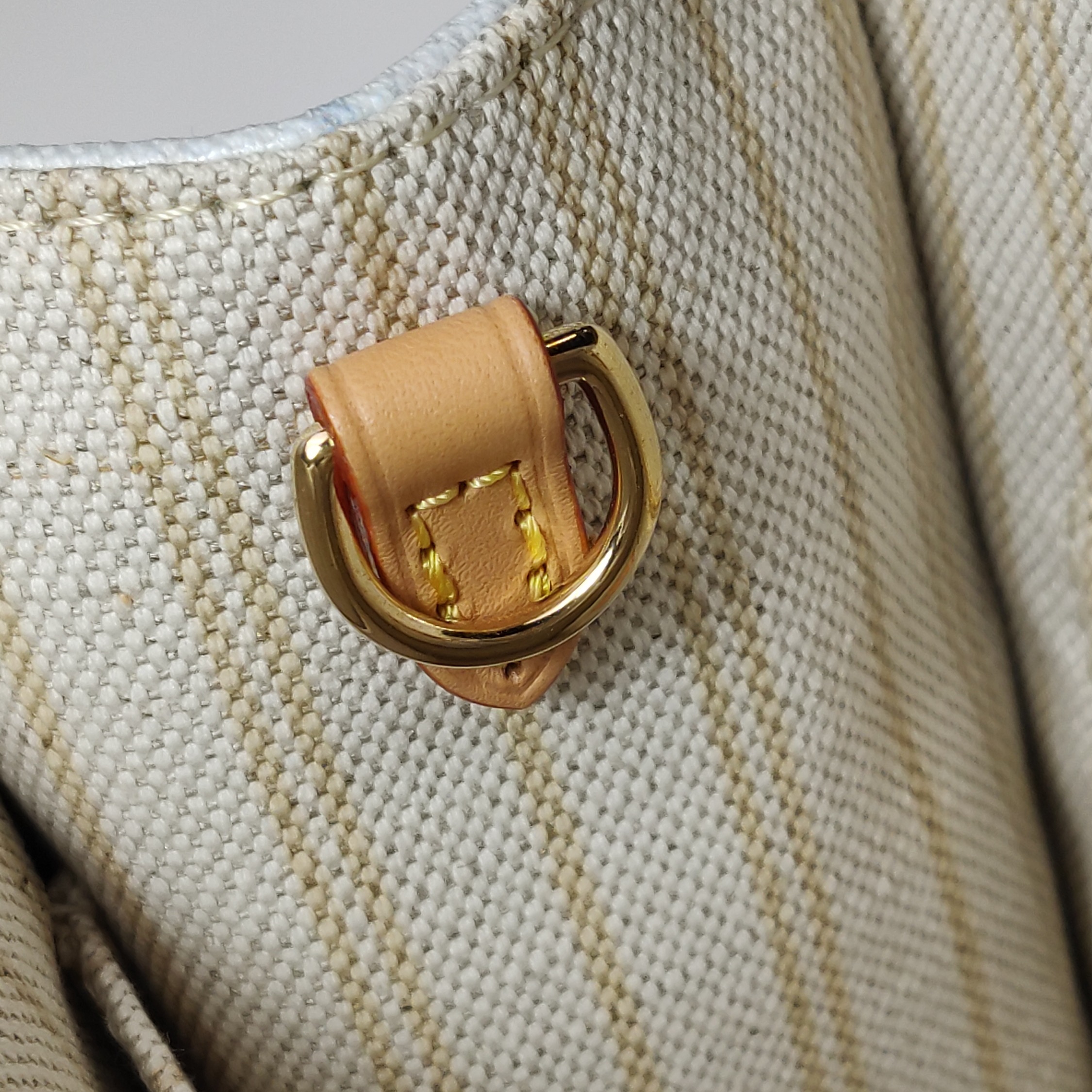 Louis Vuitton(LV) OnTheGo Pm Monogram Coated Canvas Blue — photo 9 of 13
