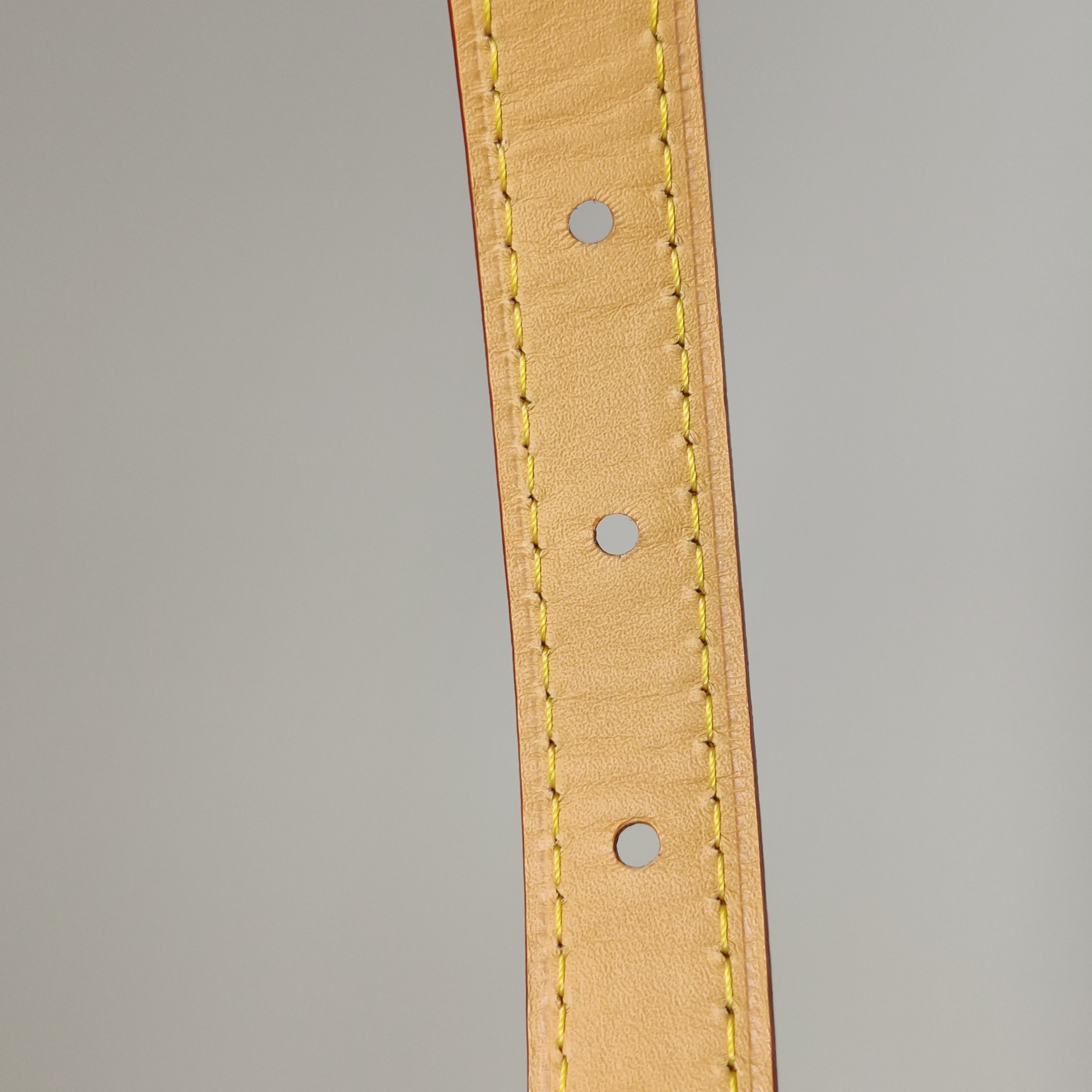 Louis Vuitton(LV) OnTheGo Pm Monogram Coated Canvas Blue — photo 13 of 13