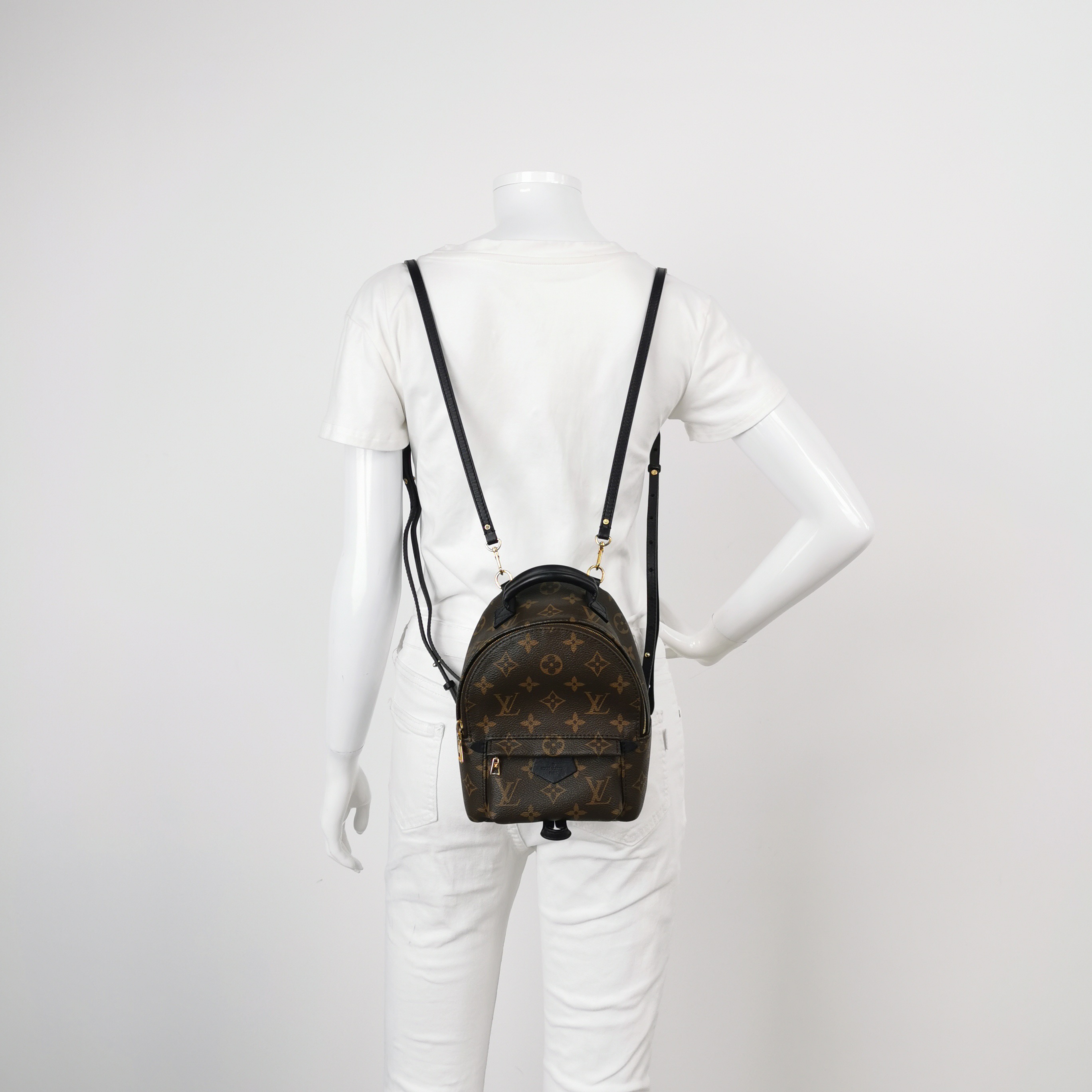 Louis Vuitton(LV) Palm Springs Backpack Monogram Canvas Mini — alternate view