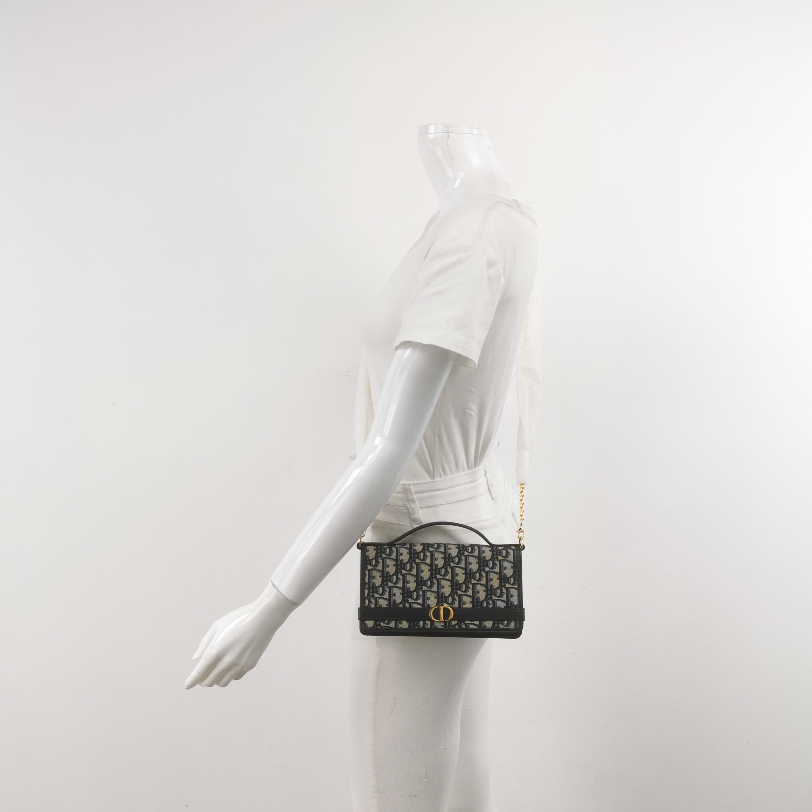 Dior 30 Montaigne Oblique Canvas — alternate view