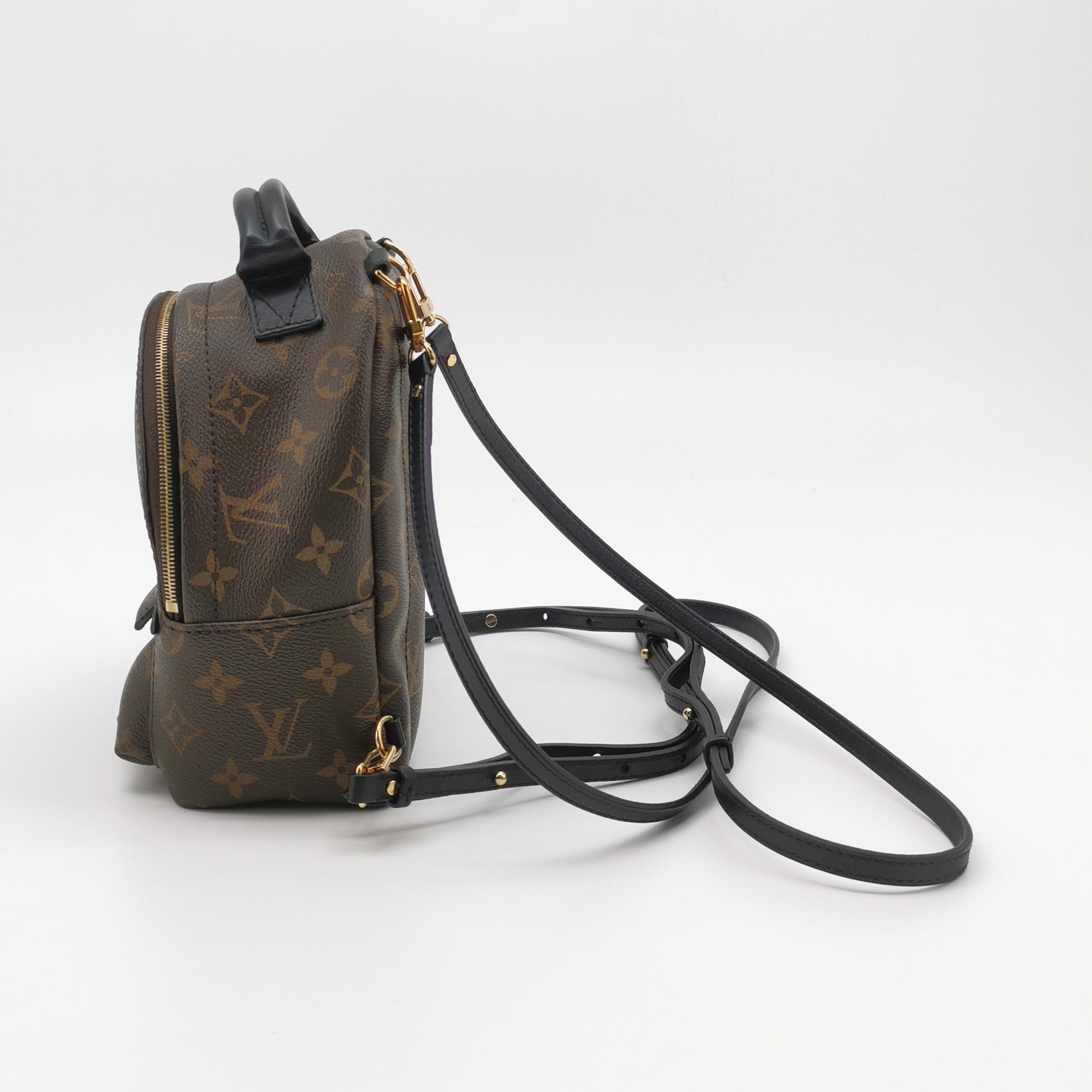 Louis Vuitton(LV) Palm Springs Backpack Monogram Canvas Mini — photo 3 of 18