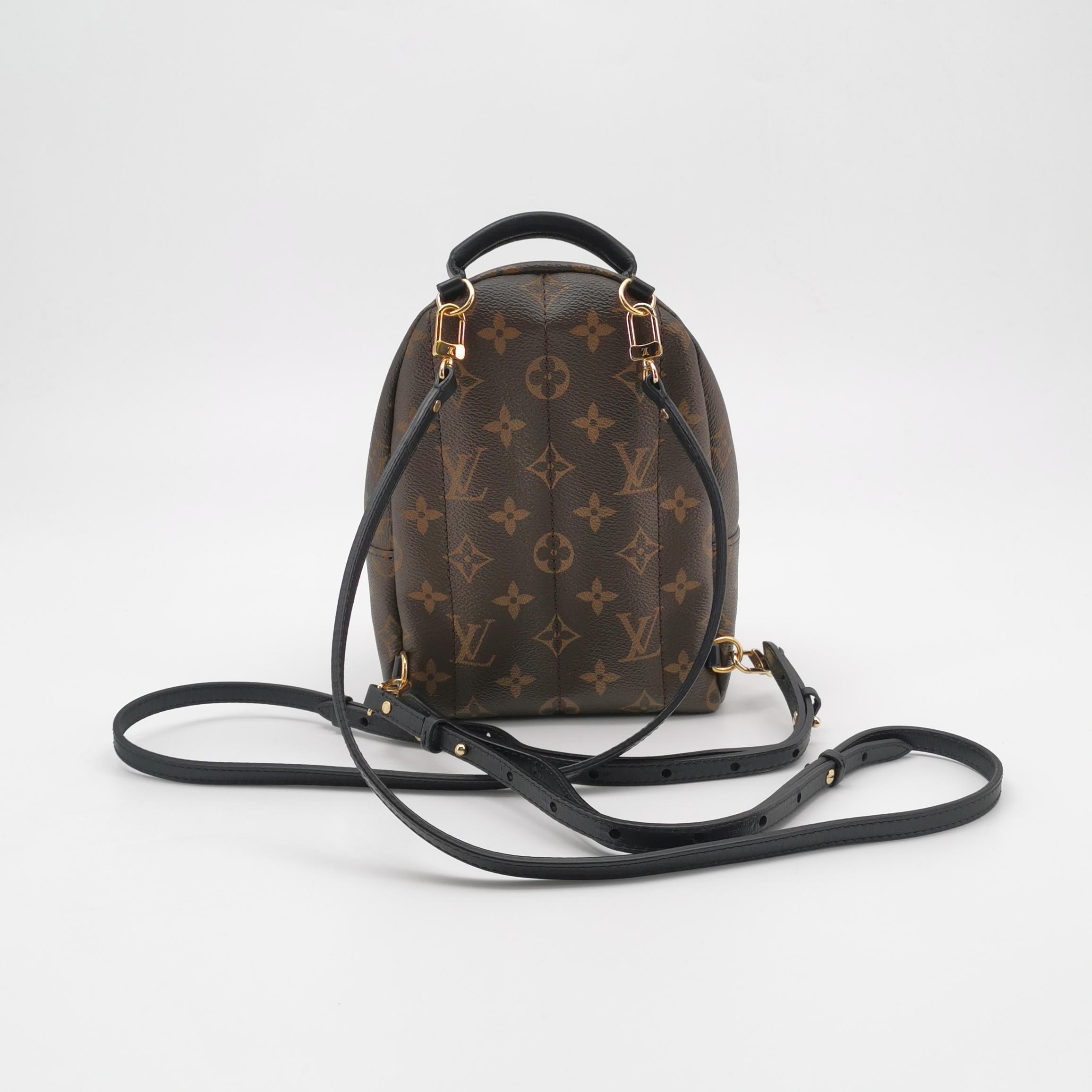 Louis Vuitton(LV) Palm Springs Backpack Monogram Canvas Mini — photo 5 of 18
