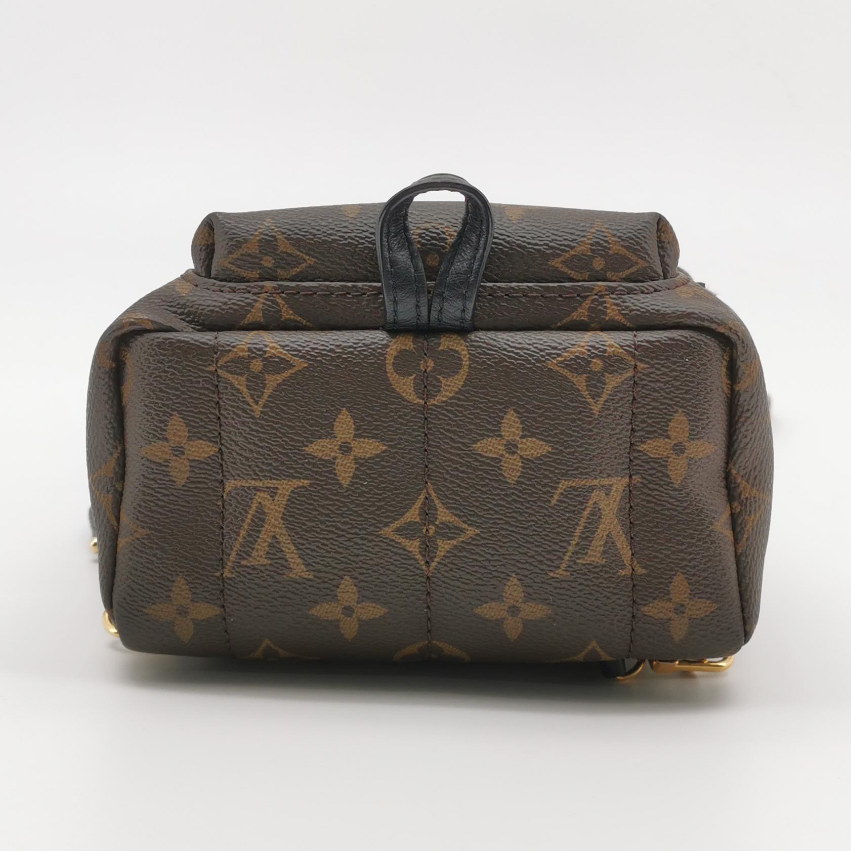 Louis Vuitton(LV) Palm Springs Backpack Monogram Canvas Mini — photo 6 of 18