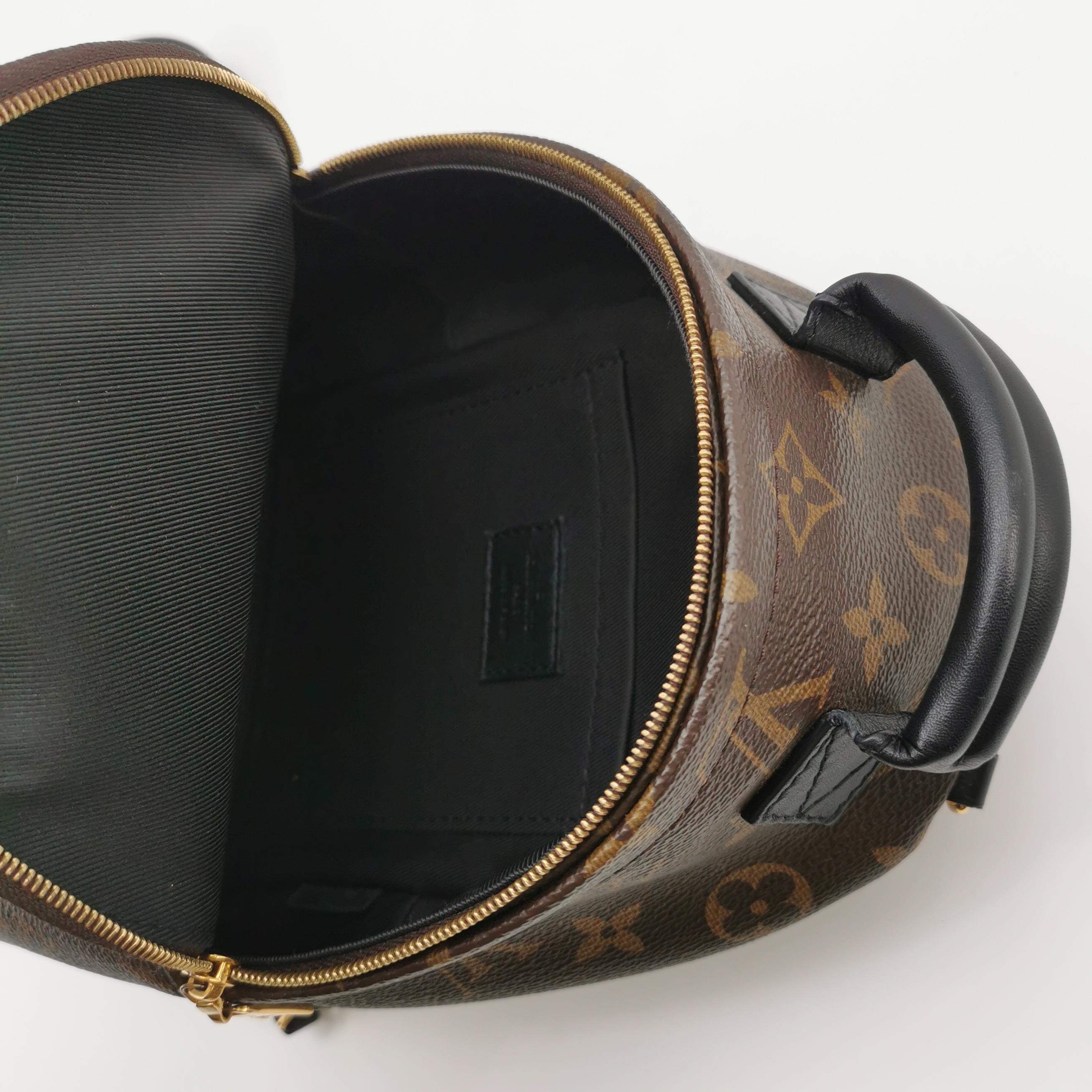Louis Vuitton(LV) Palm Springs Backpack Monogram Canvas Mini — photo 7 of 18