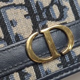 Dior 30 Montaigne Oblique Canvas — thumbnail 8
