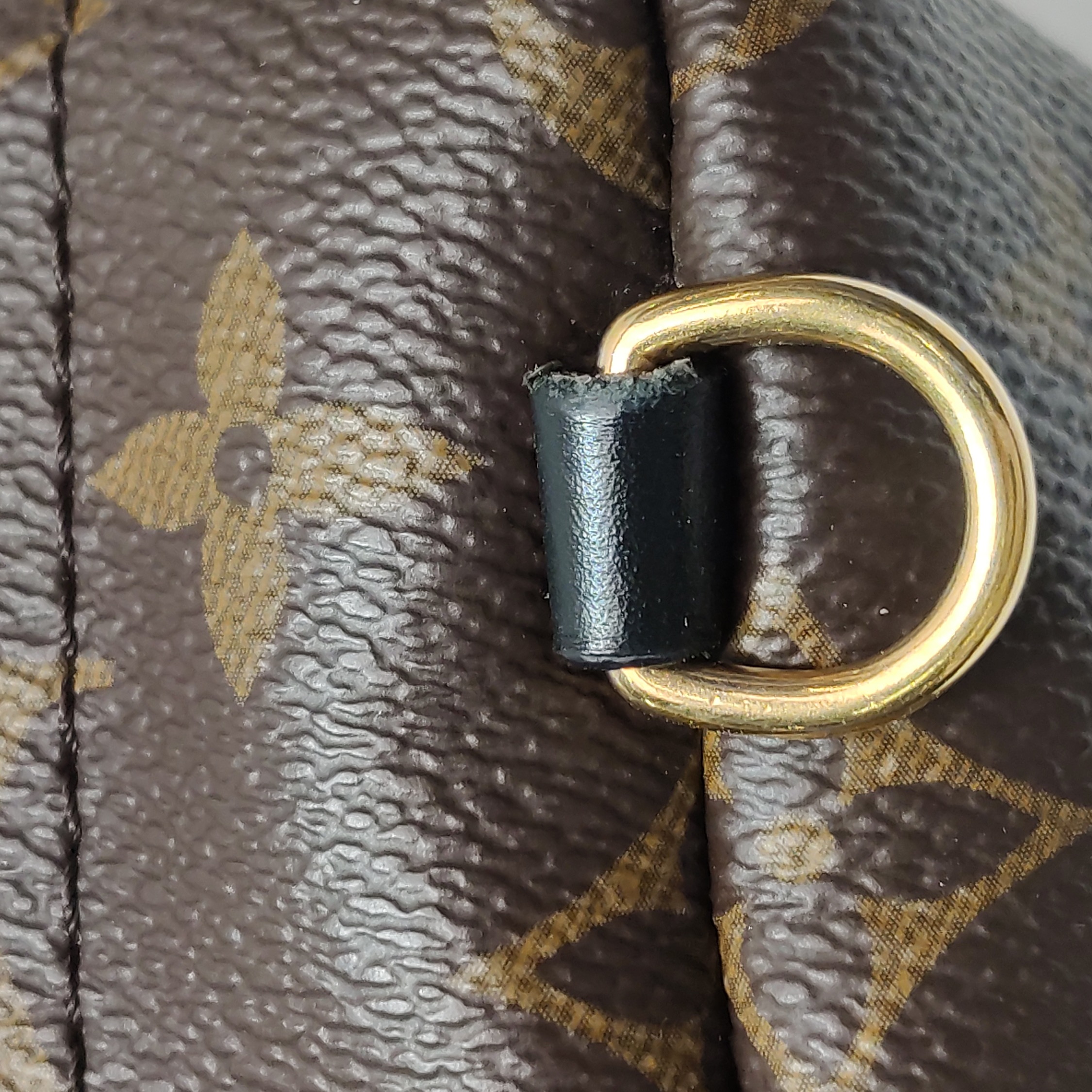 Louis Vuitton(LV) Palm Springs Backpack Monogram Canvas Mini — photo 18 of 18