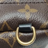 Louis Vuitton(LV) Palm Springs Backpack Monogram Canvas Mini — thumbnail 18