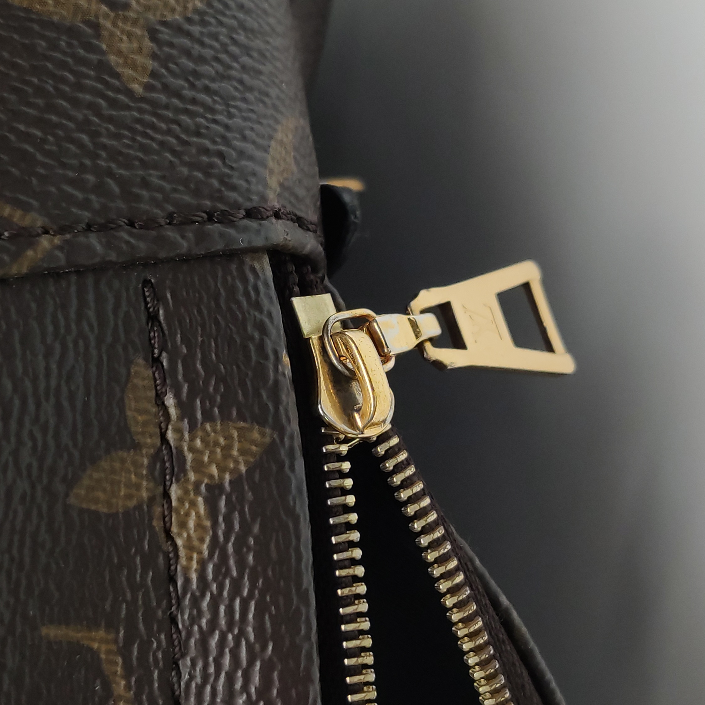 Louis Vuitton(LV) Palm Springs Backpack Monogram Canvas Mini — photo 12 of 18