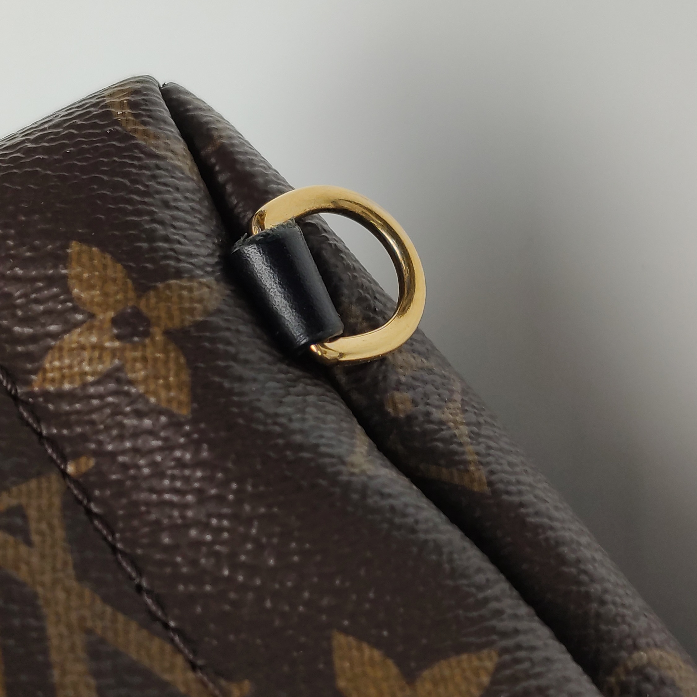 Louis Vuitton(LV) Palm Springs Backpack Monogram Canvas Mini — photo 9 of 18