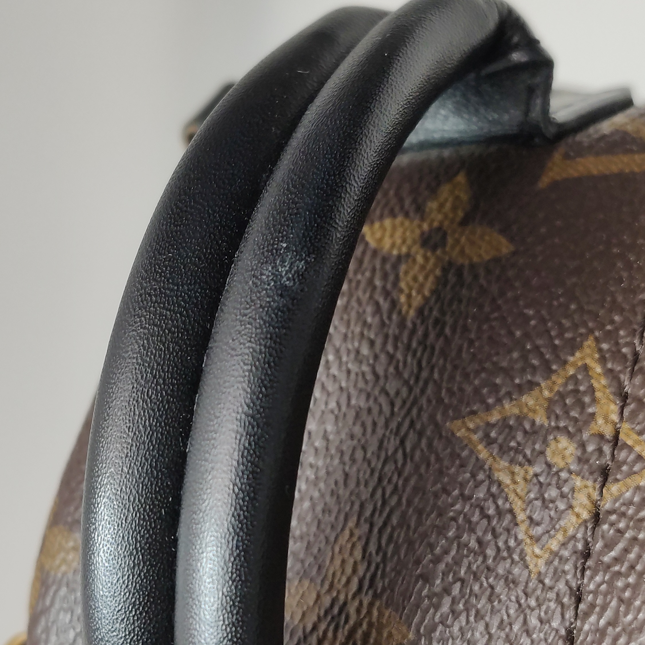 Louis Vuitton(LV) Palm Springs Backpack Monogram Canvas Mini — photo 17 of 18