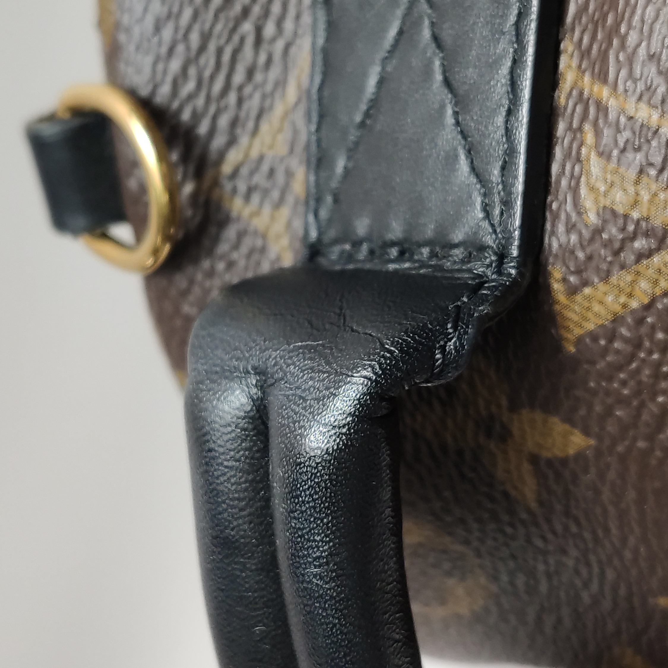 Louis Vuitton(LV) Palm Springs Backpack Monogram Canvas Mini — photo 16 of 18